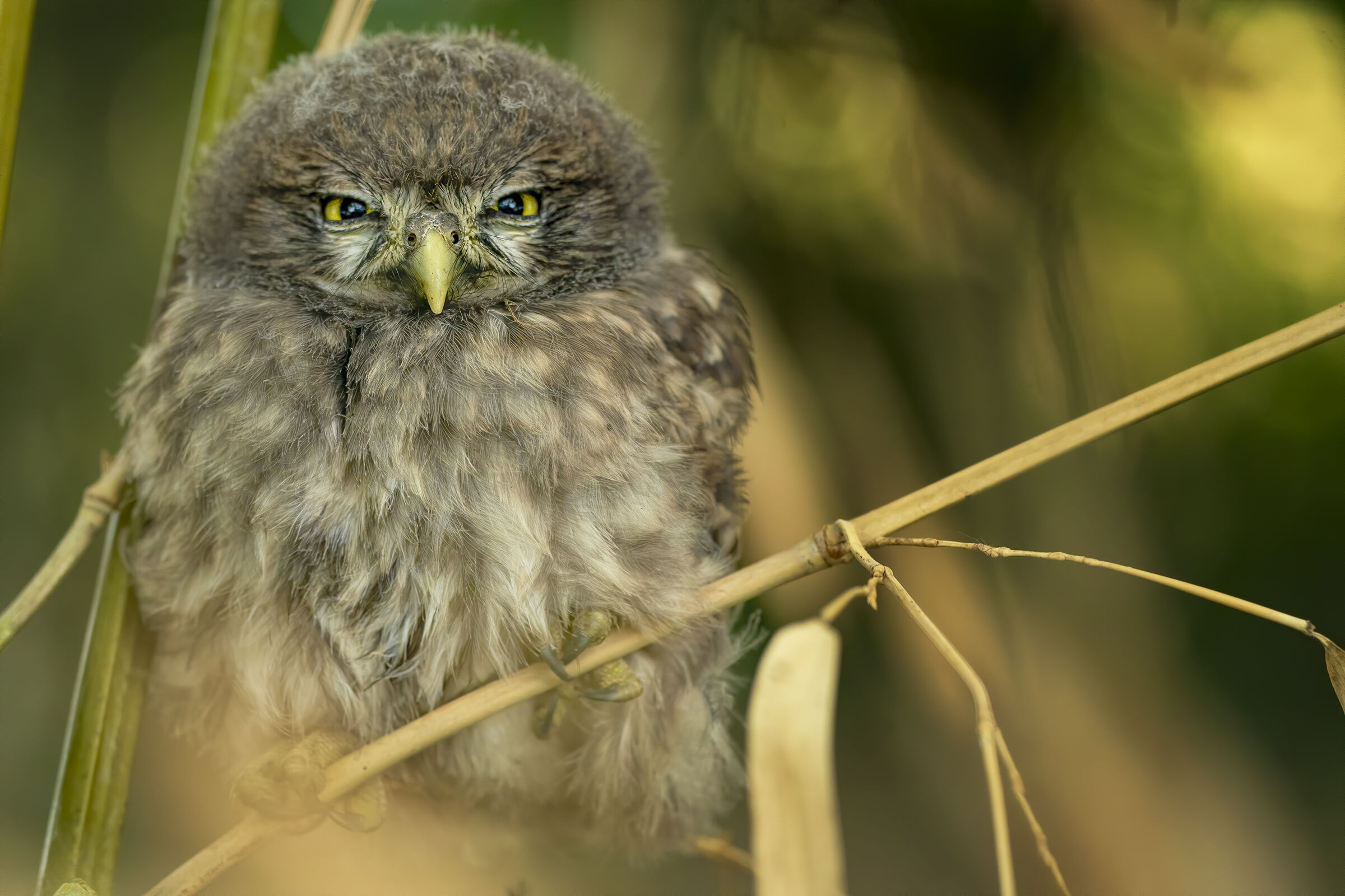 cosa hai da dire tu !!!!