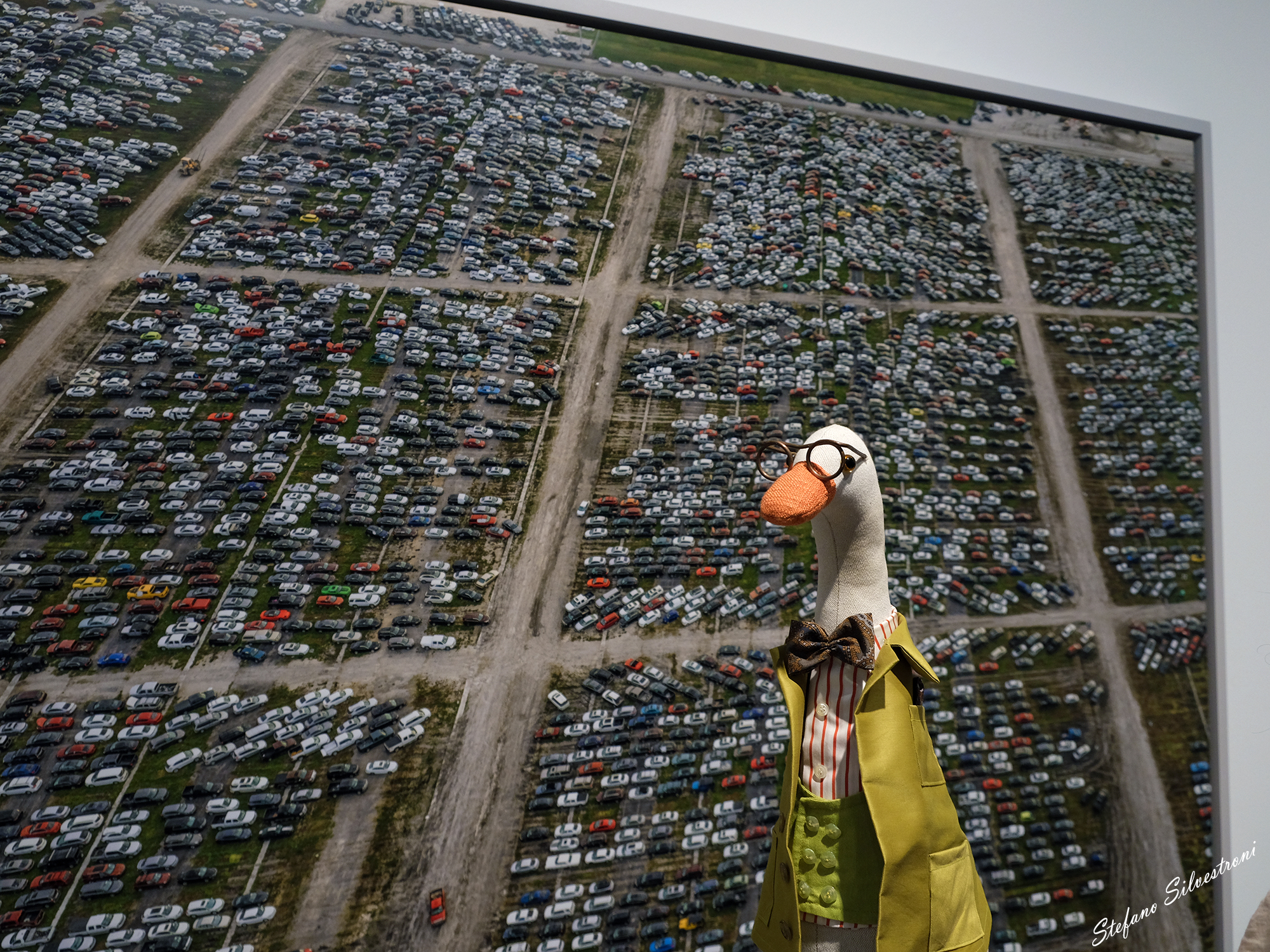 WORLD ENVIRONMENT DAY