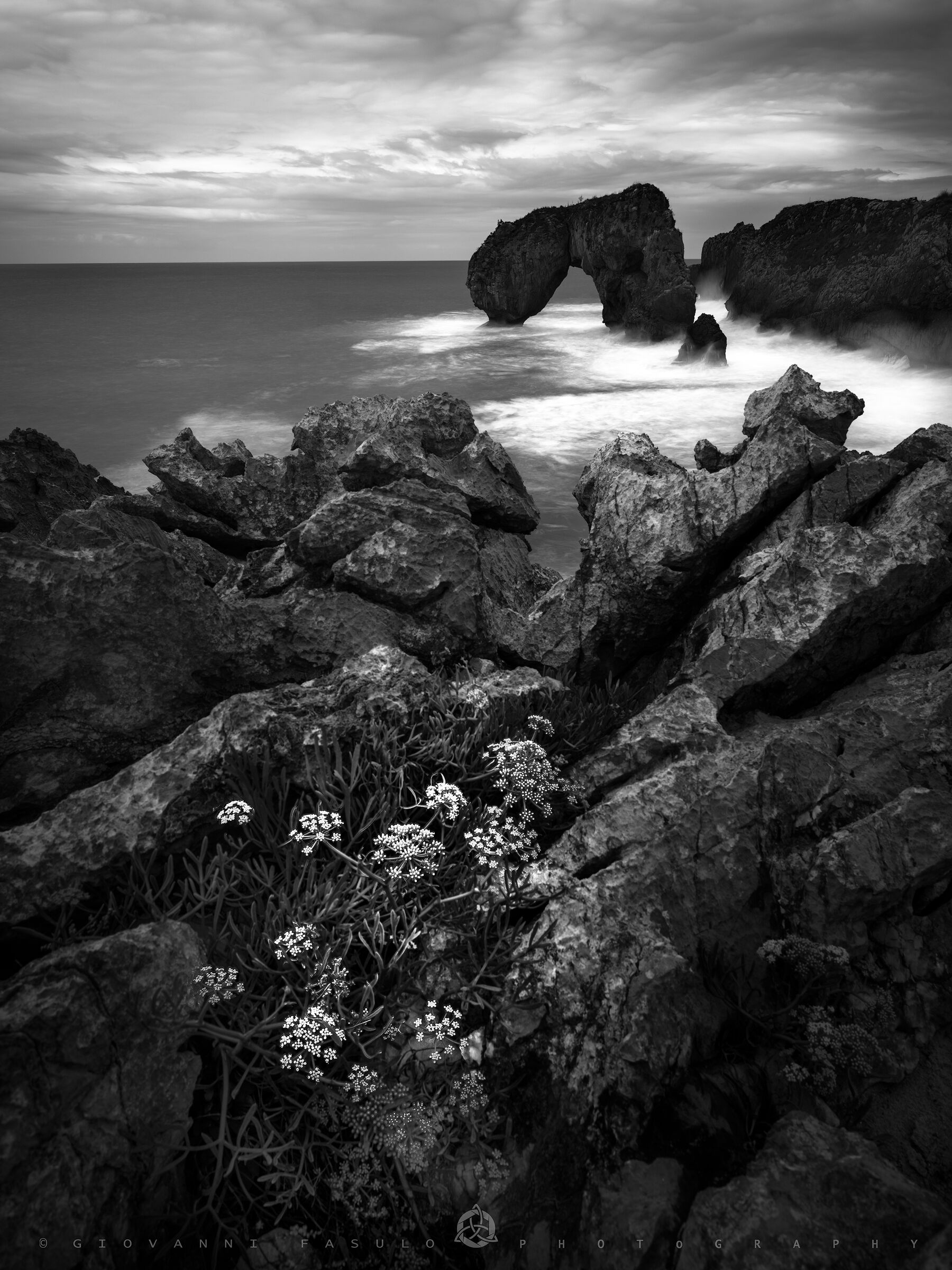 Castro de las Gaviotas