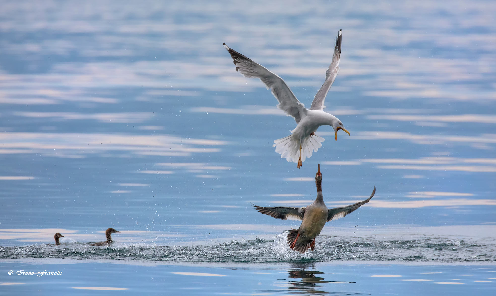 the strength of a mother