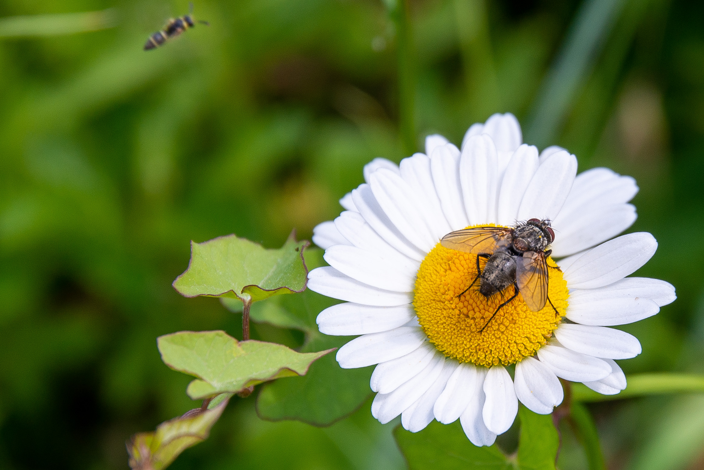 in attesa di atterrare....