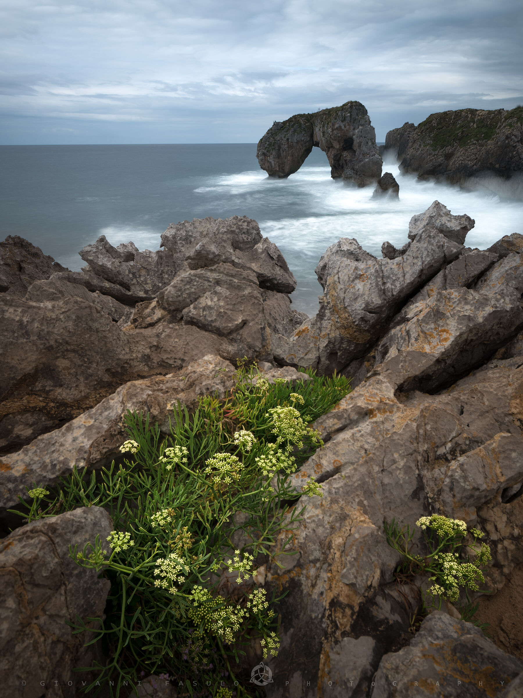 Castro de las Gaviotas