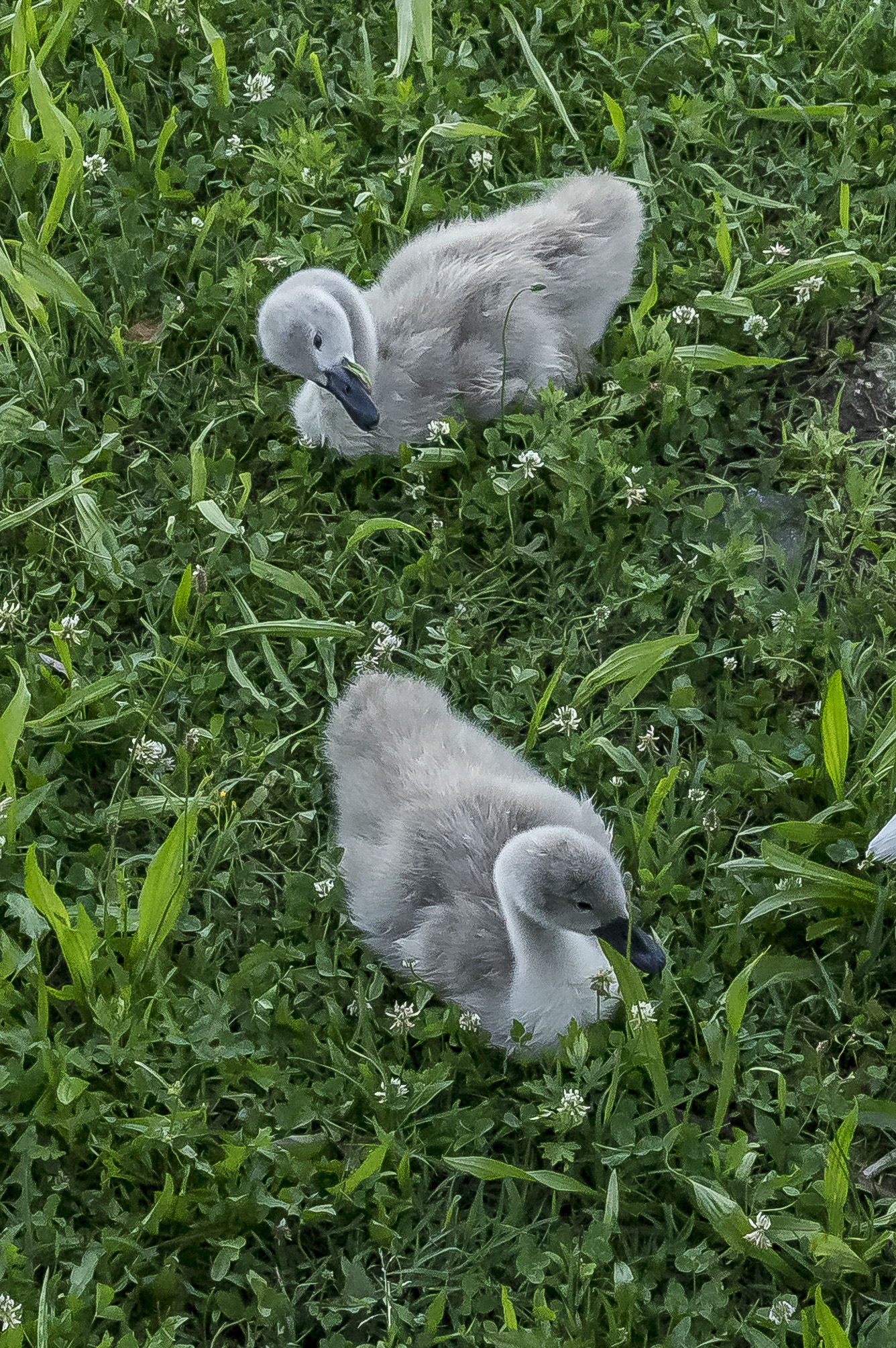 Venerdì 5 giugno 2020, 19:19:14