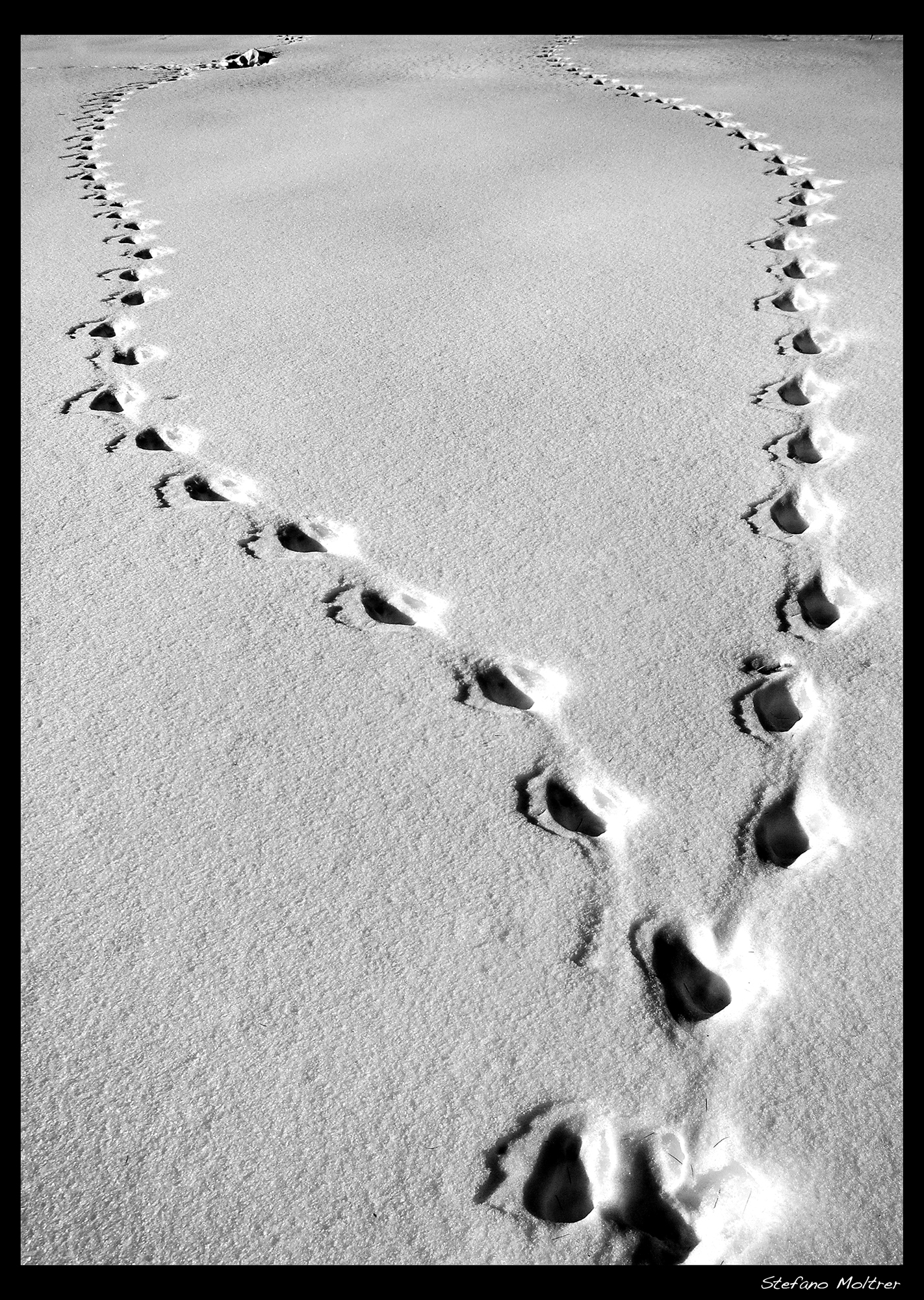 Ci si incontra sempre...