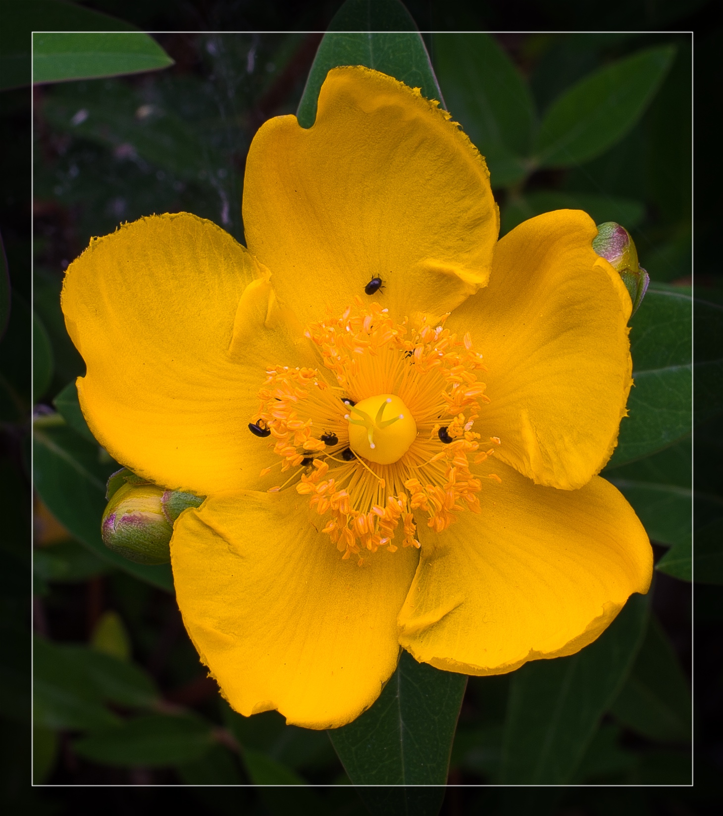 Untitled Photo