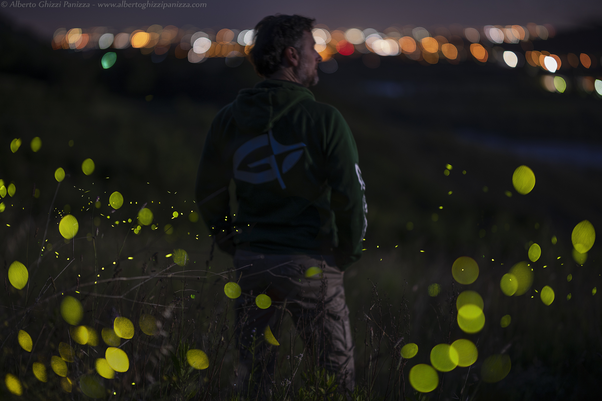 Reflections between urban lights and the lights of nature