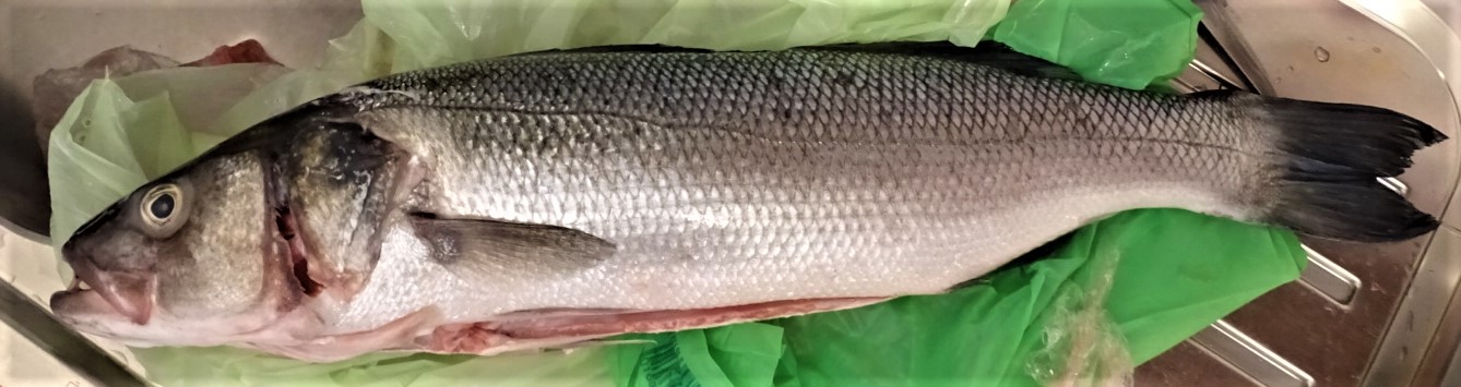 Today you cook a nice fresh sea bass...