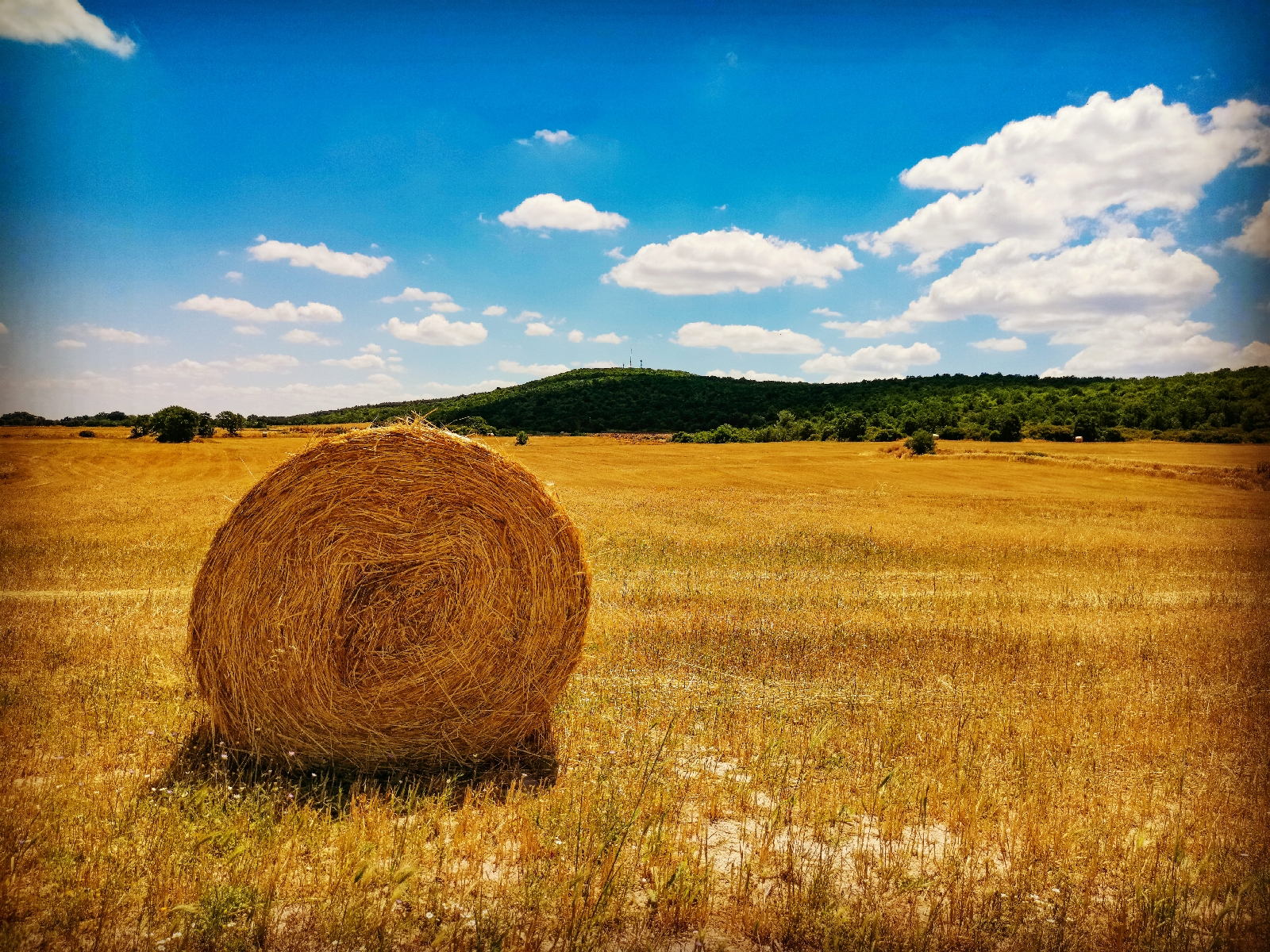 Alle soglie dell'estate