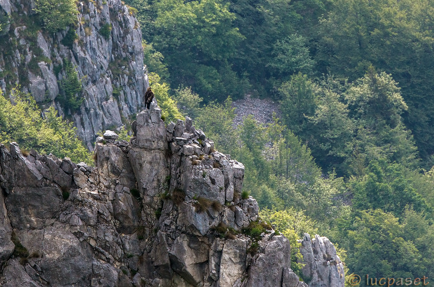 The solitude of the king.