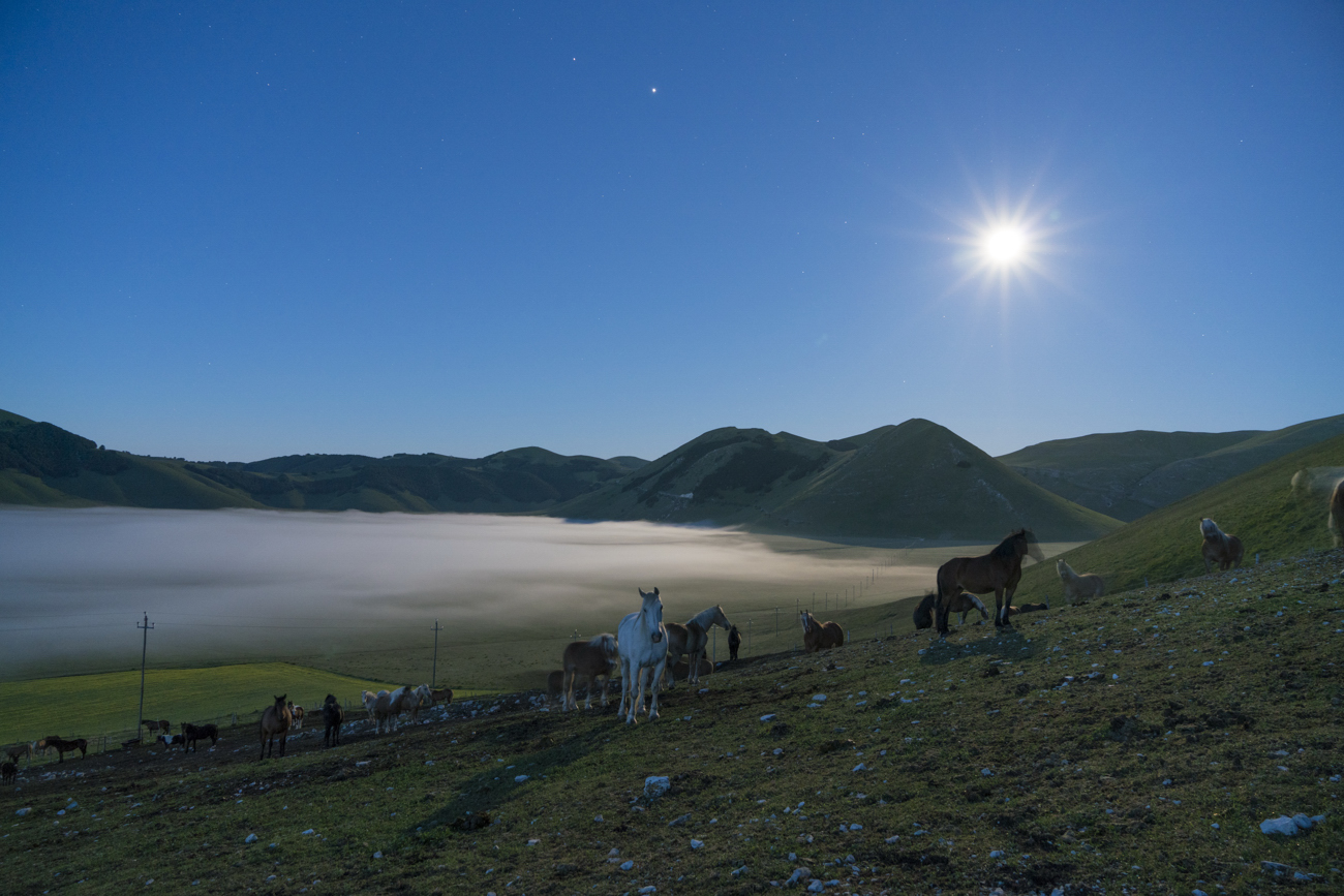 Night at Castelluccio's Plans