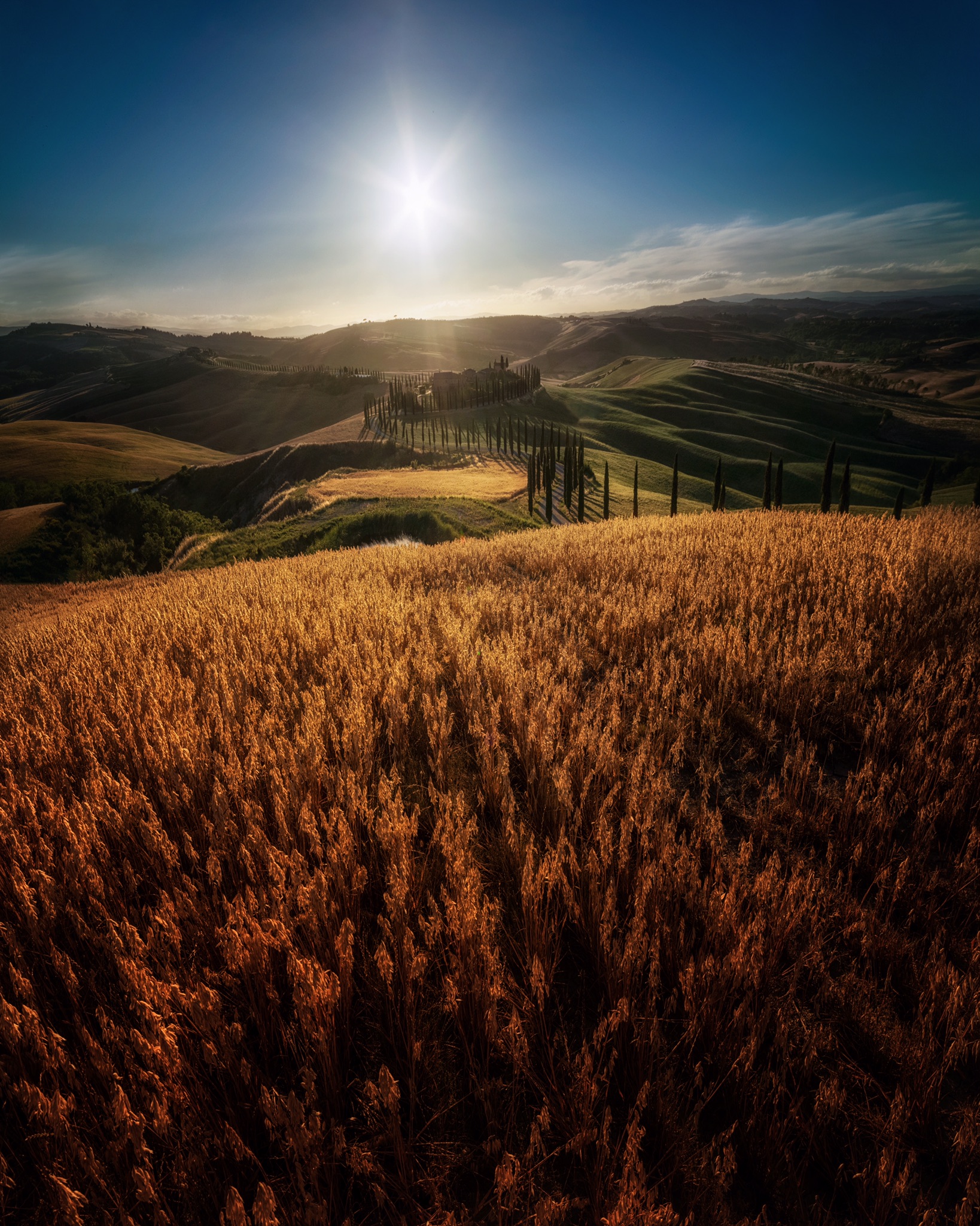 Tuscan hill!