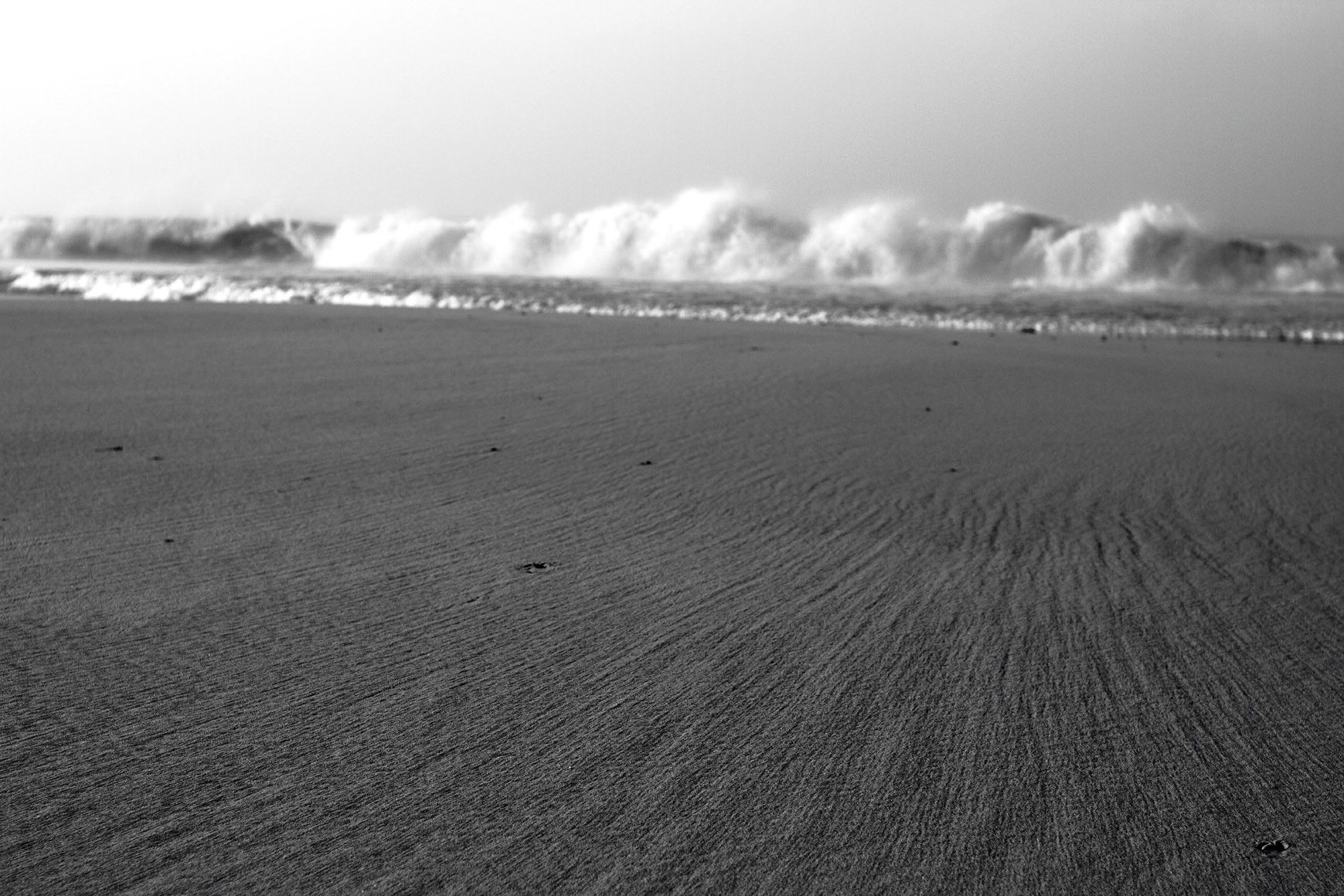 Beach in Doñana