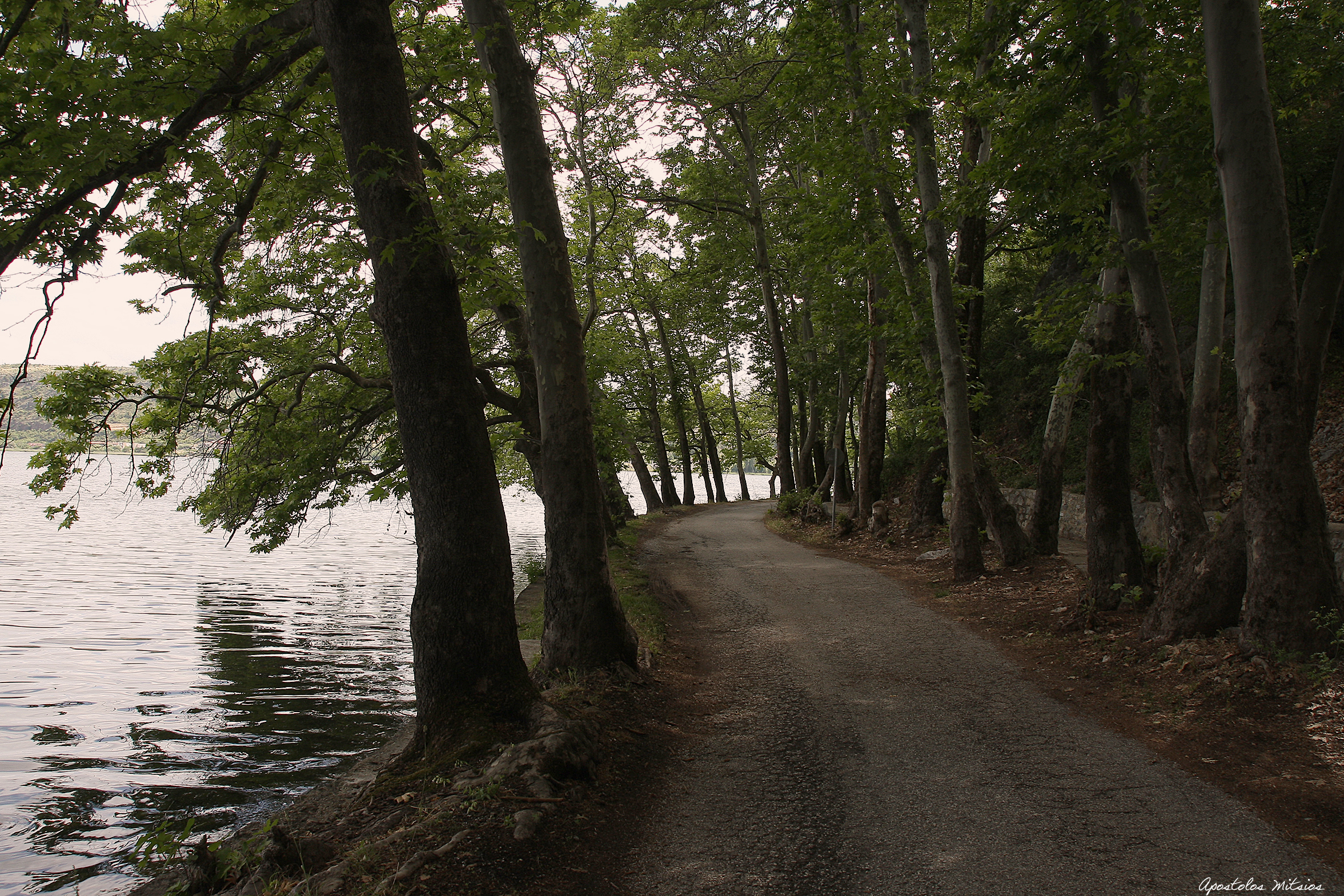 Lago di Kastoria