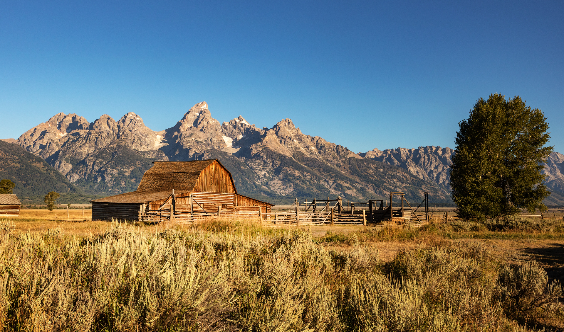 Mormon Row Grand Teton