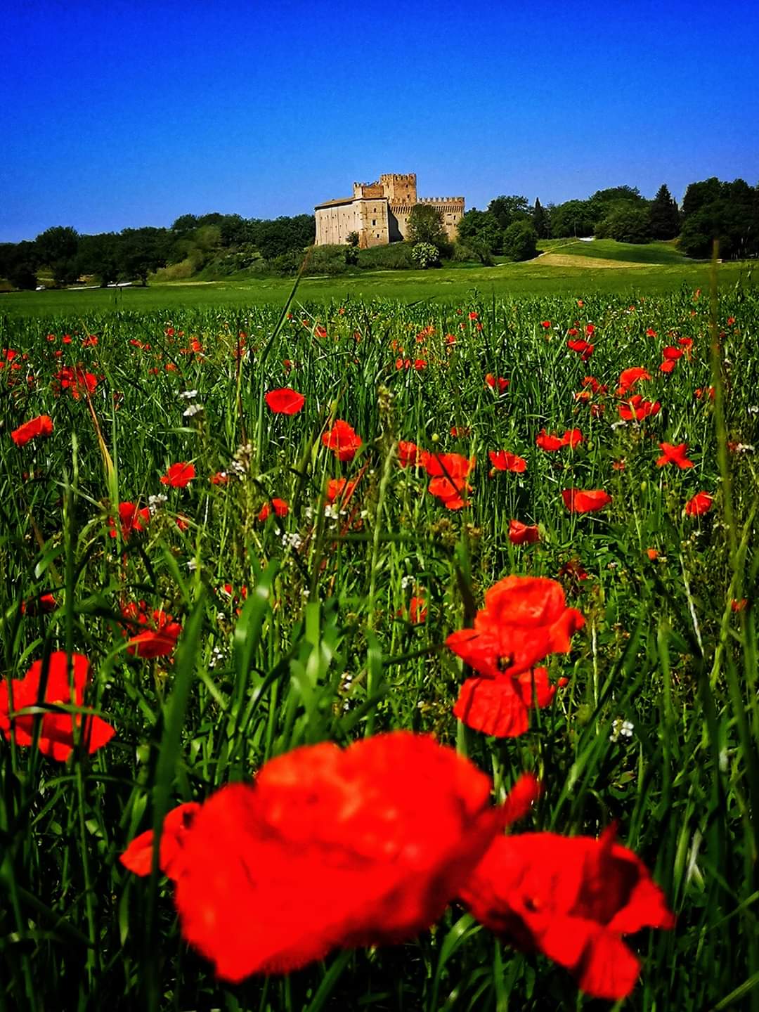 Castello magico