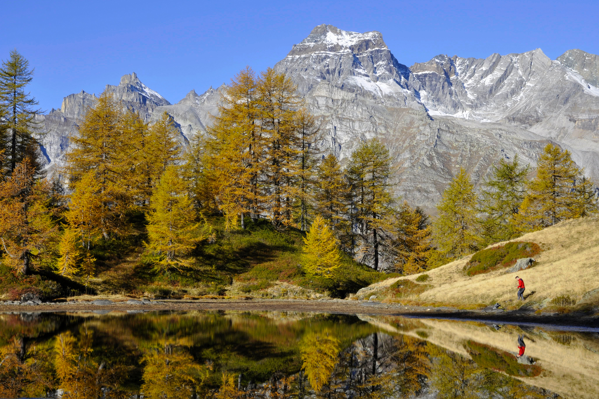 The red that was missing.