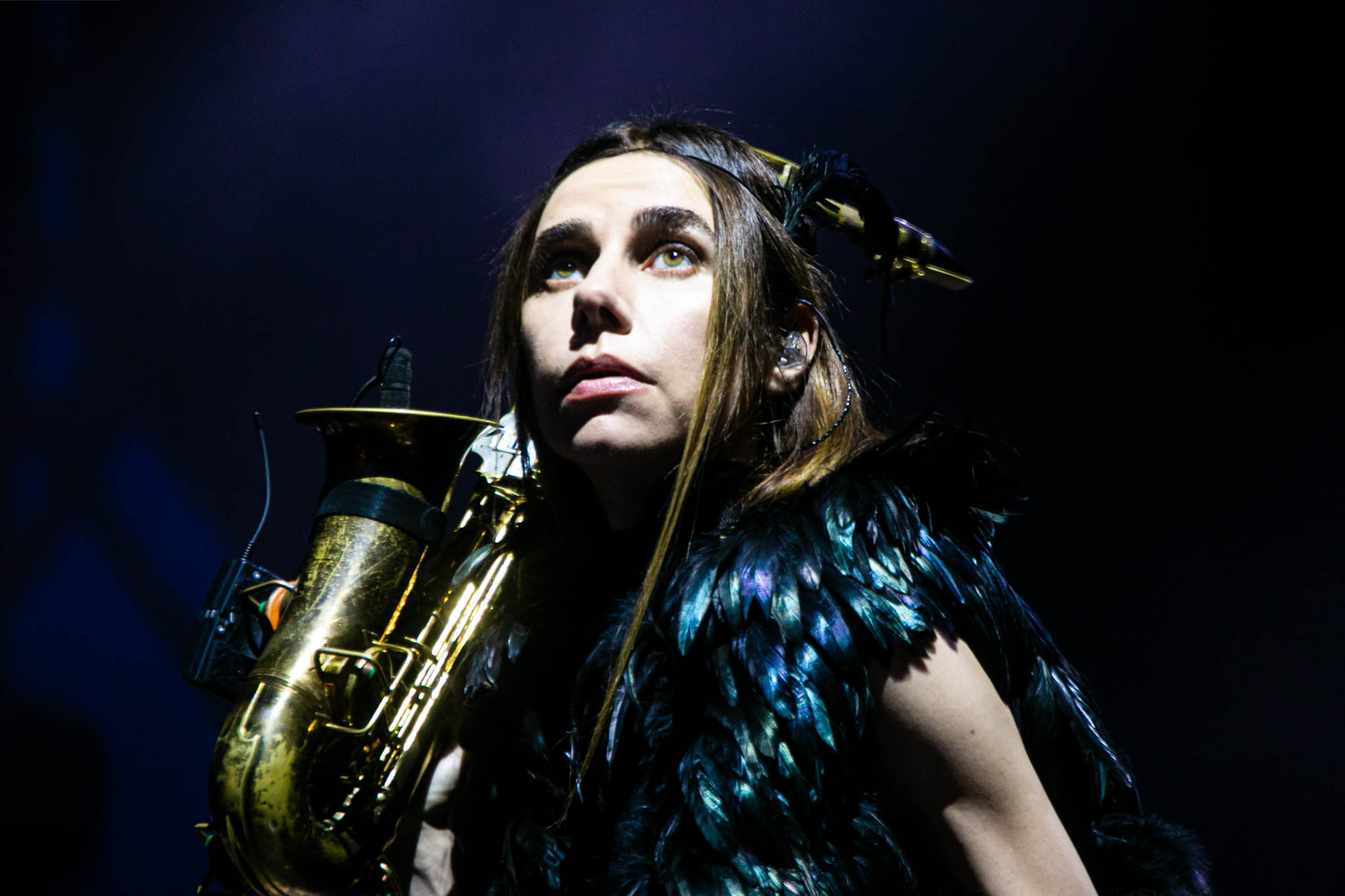 Pj Harvey