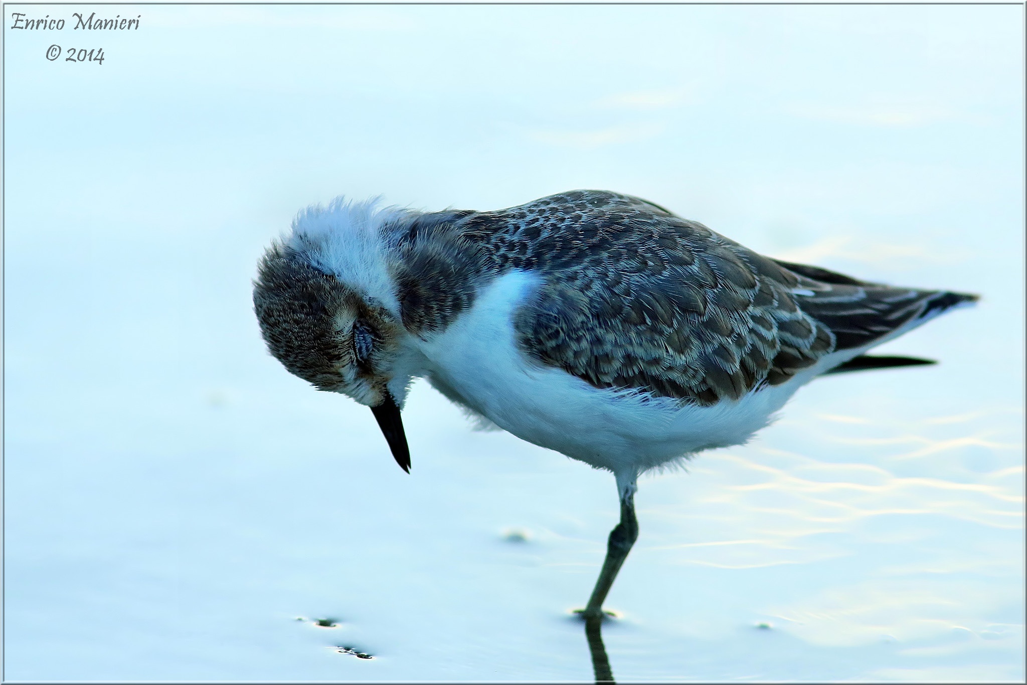 Quando si dice fiducia!