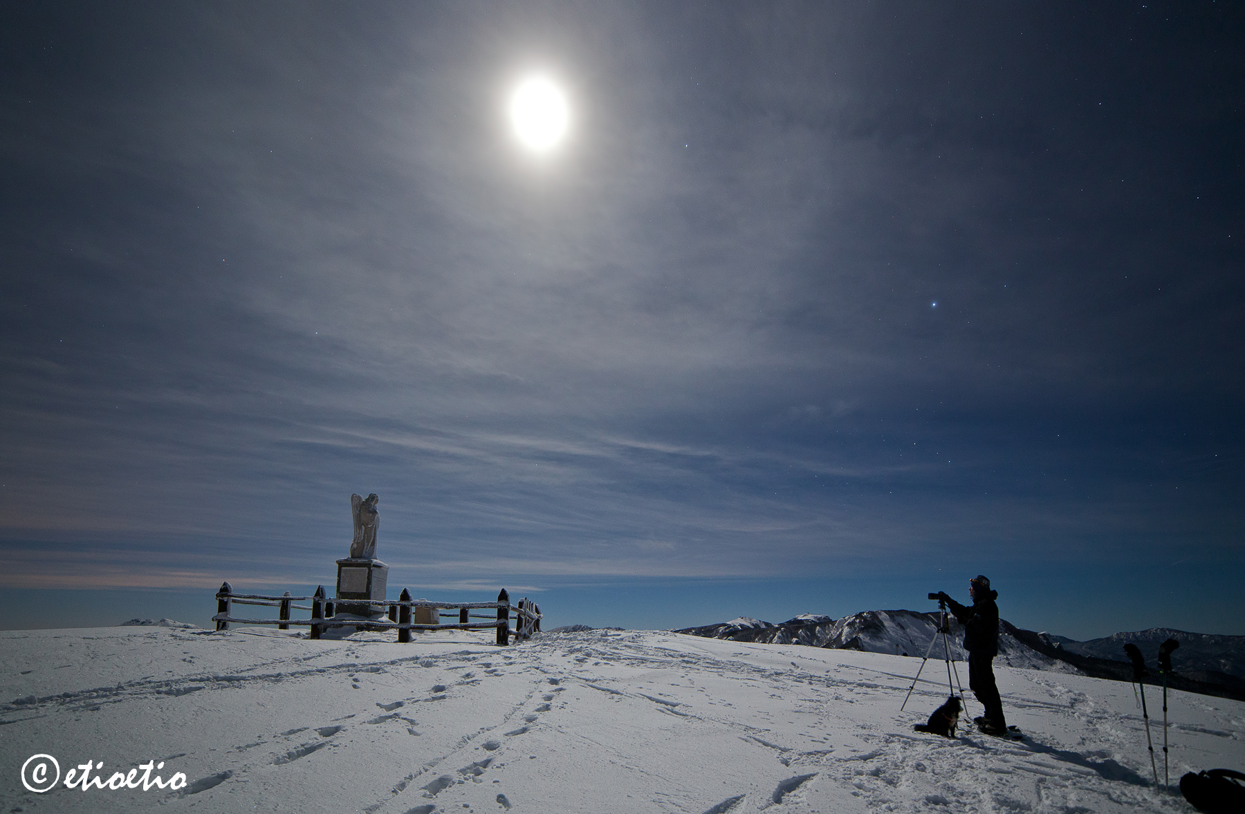 Crociglia moonlight: fotografando l'angelo..