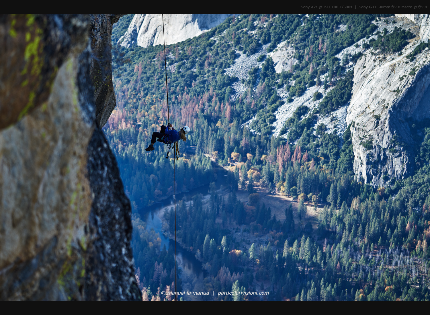 Tobey at Taft Point