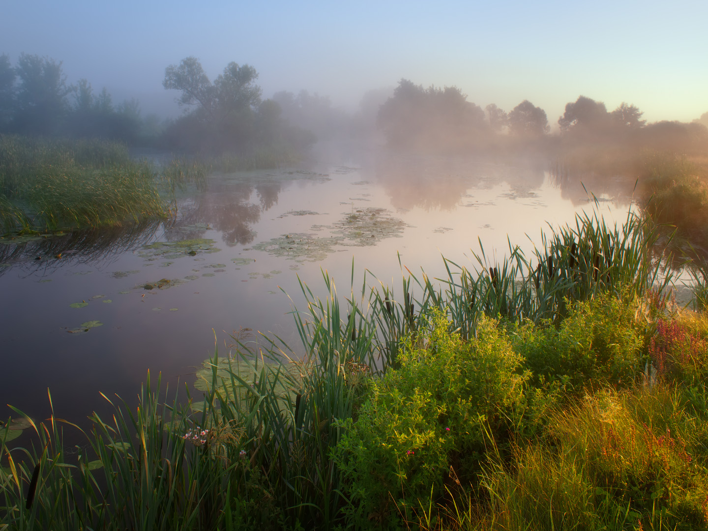 Early morning