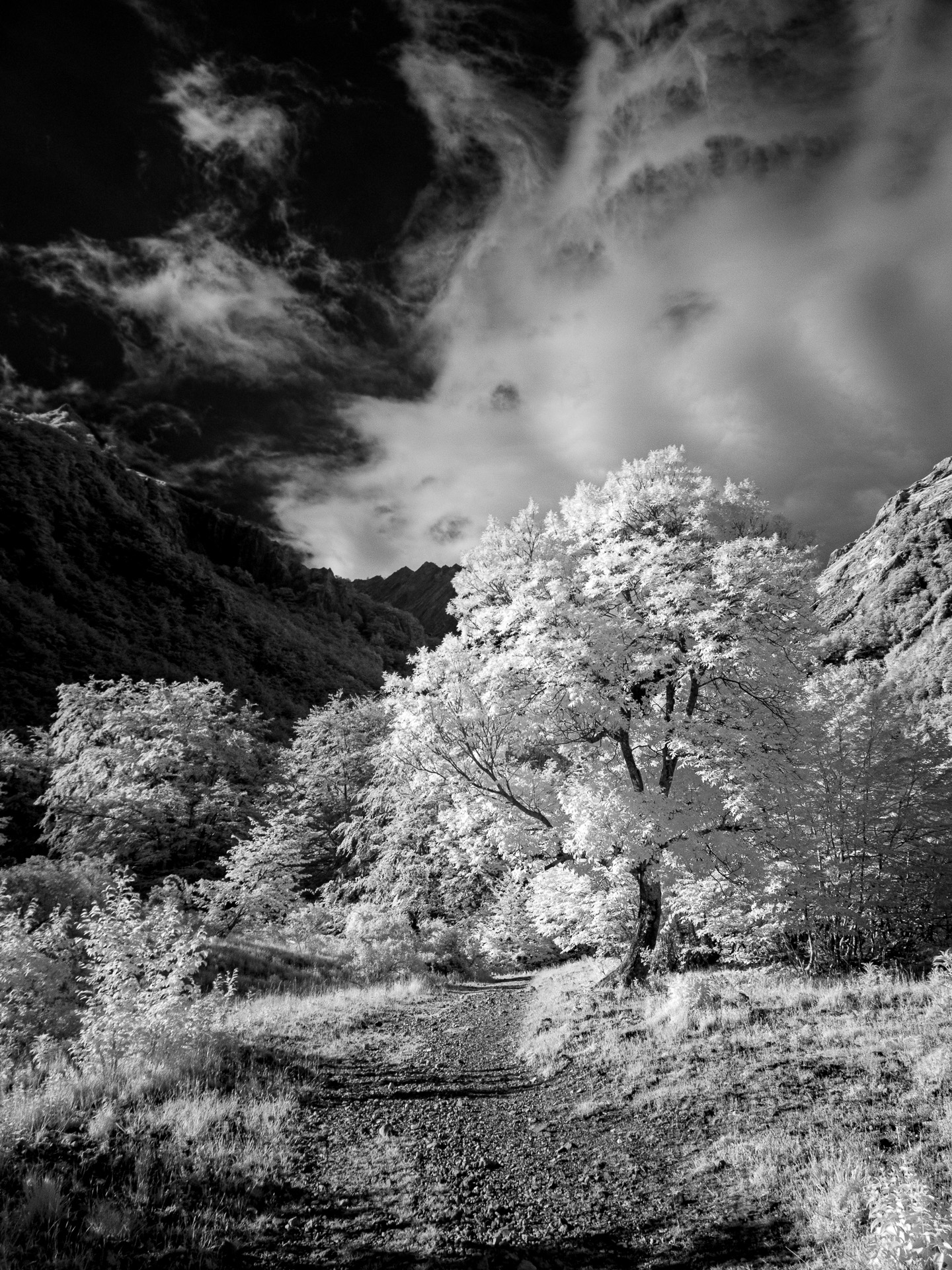 from Foce to the lakes