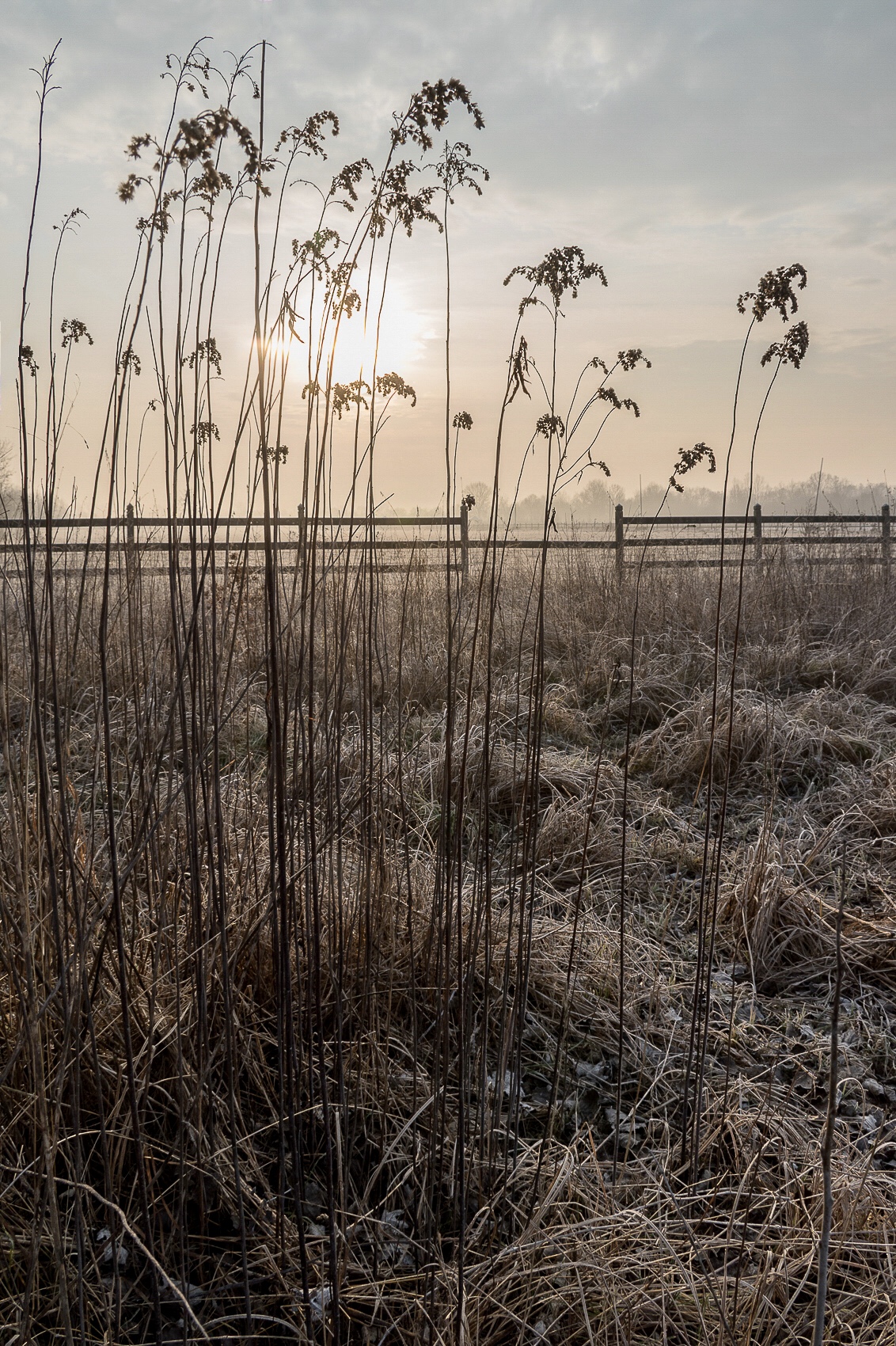 Al di qua del confine