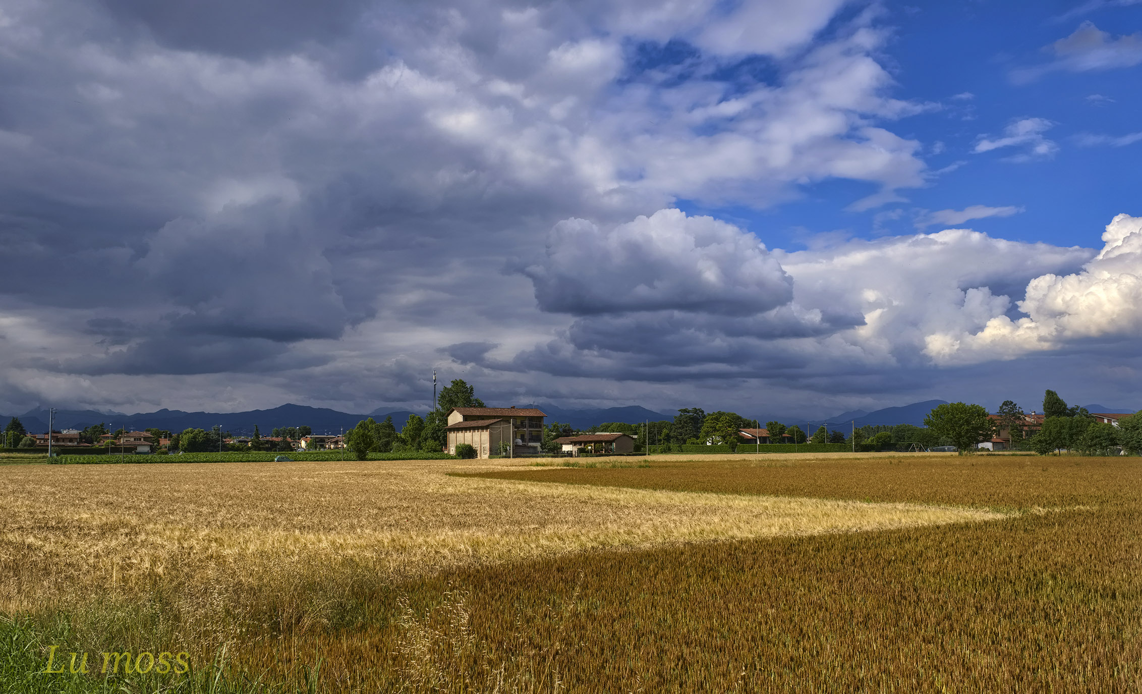 Rincorrendo il colore. 1