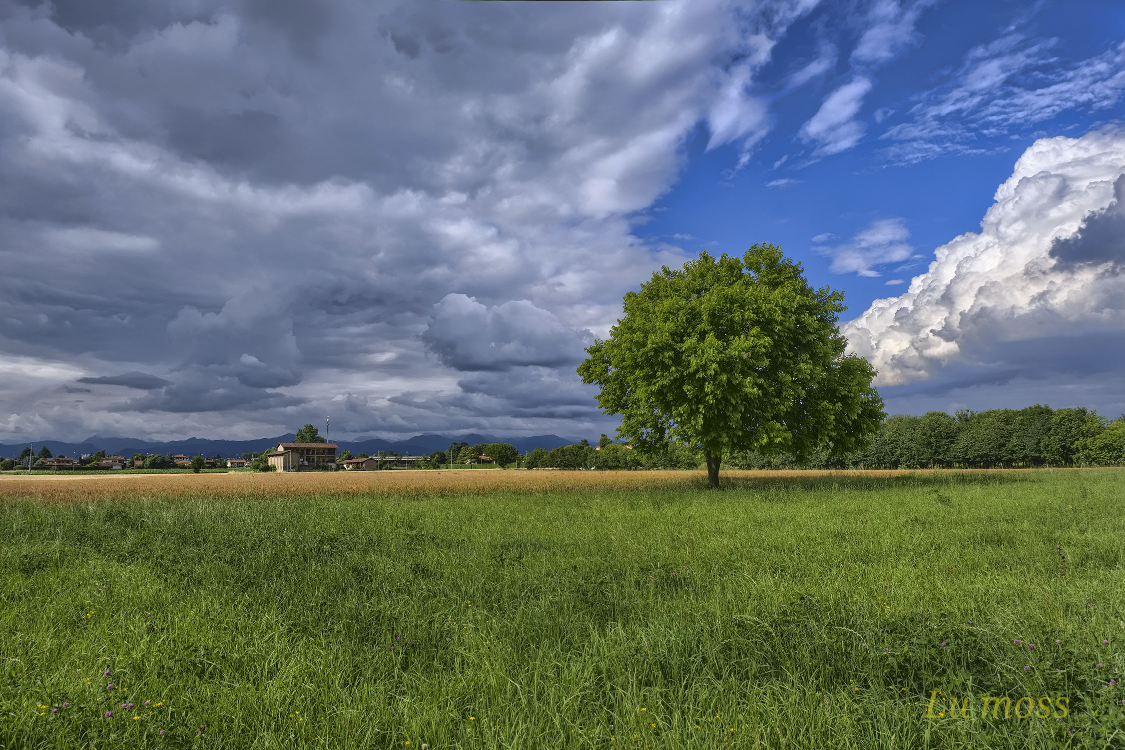 Rincorrendo il colore 2.