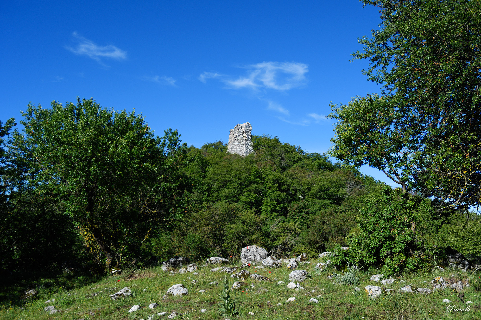 La Prugna