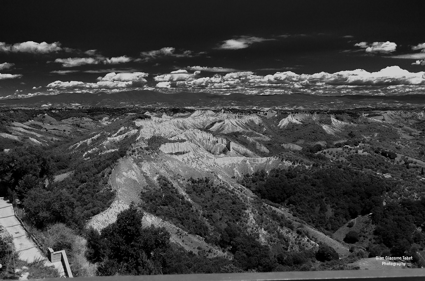 Cicita da Bagnoregio3