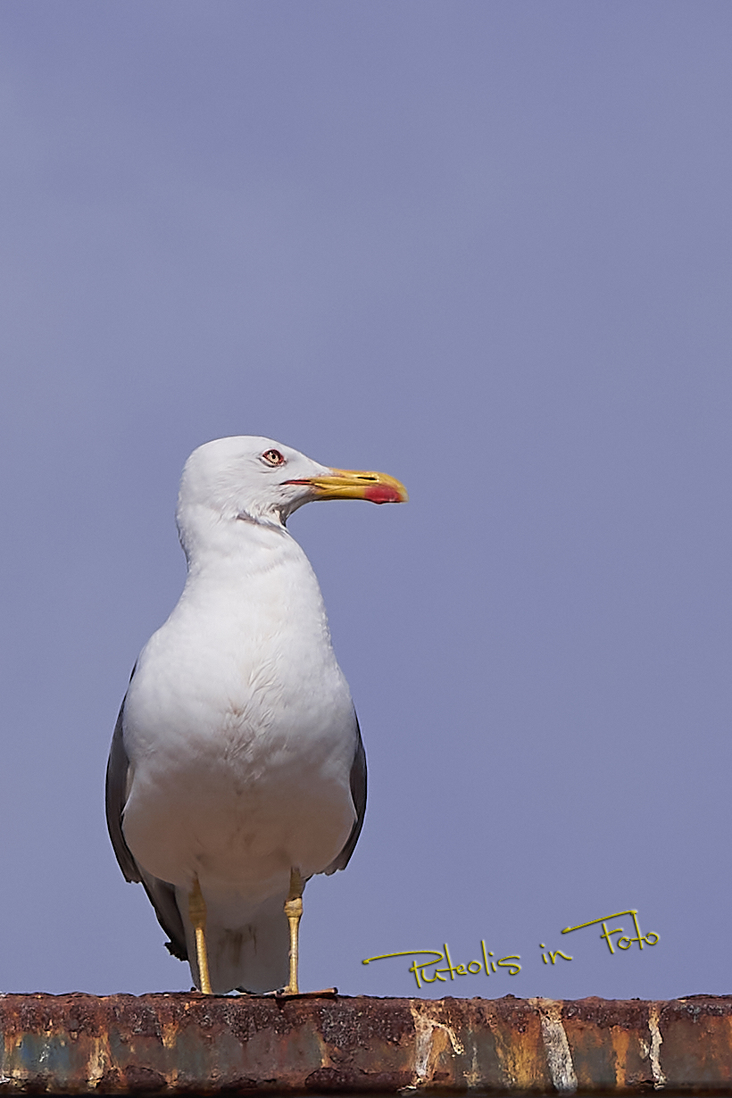 Di profilo vengo meglio...