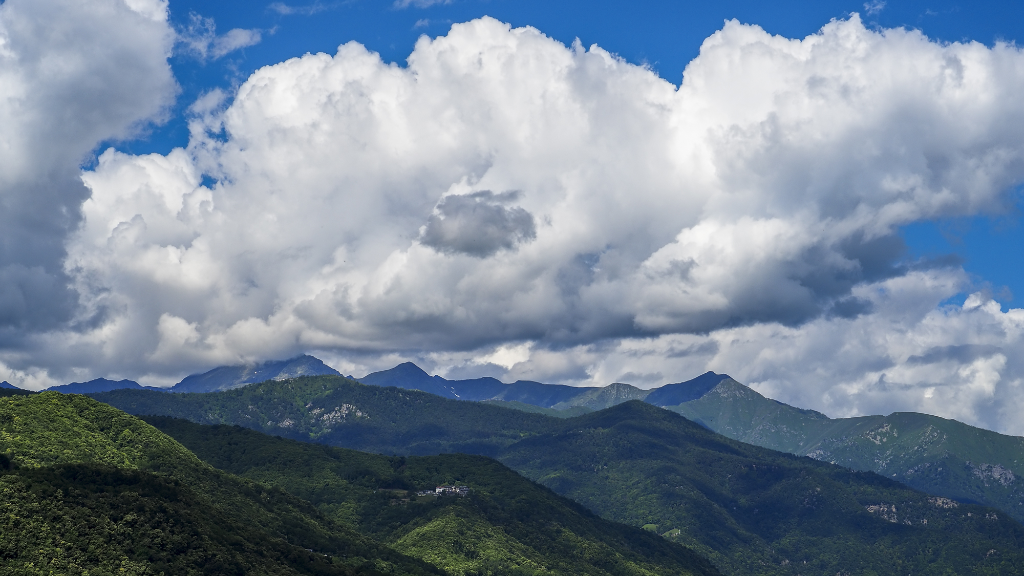 Cozie Alps on a June Day - No.1