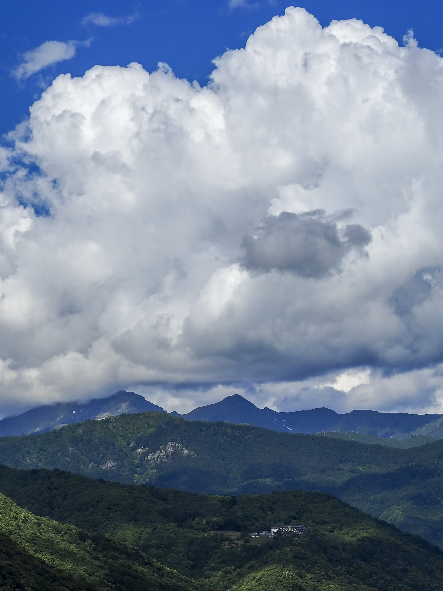 Cozie Alps on a June Day - No.2