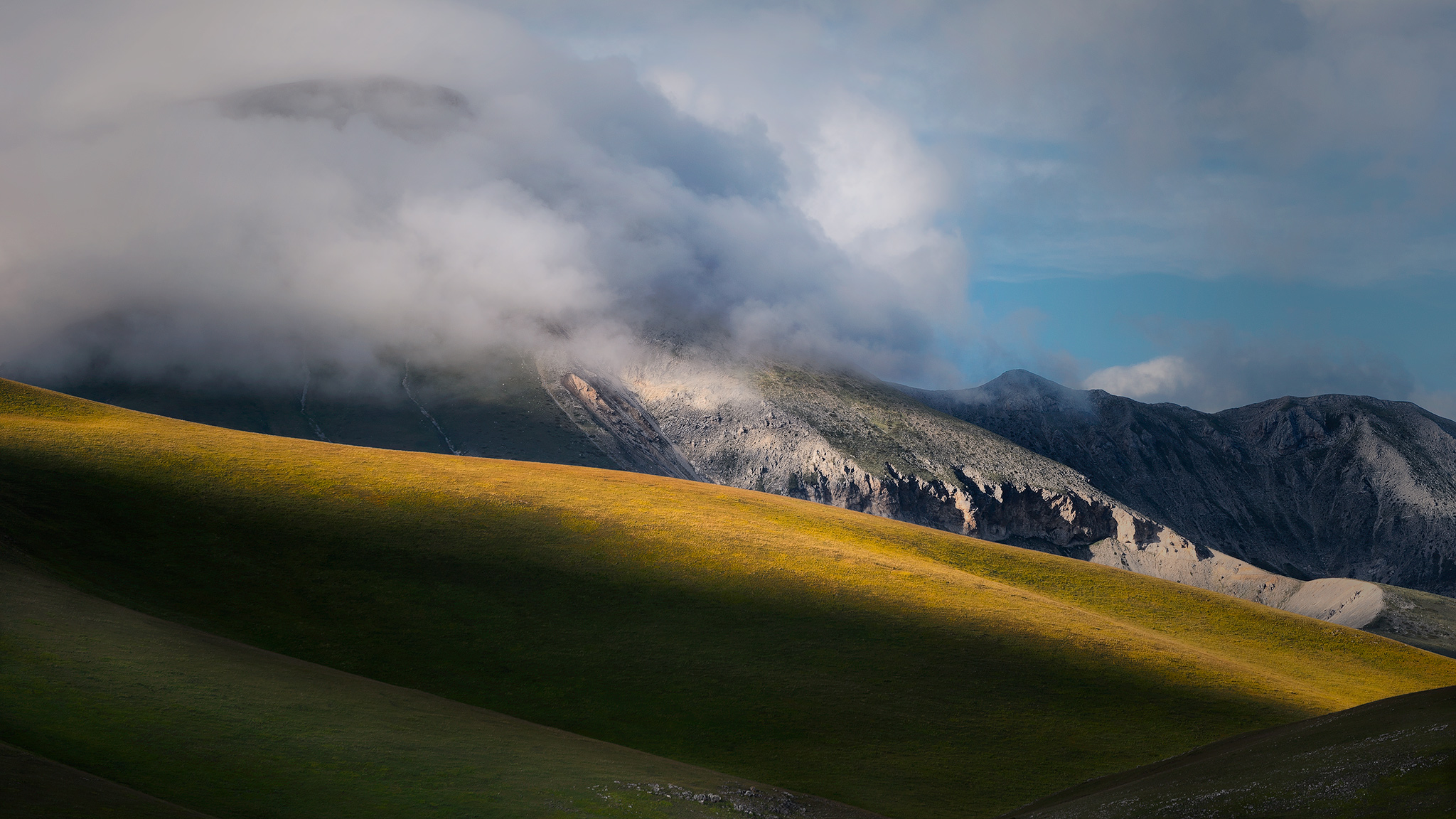 Emperor Field - June 2020