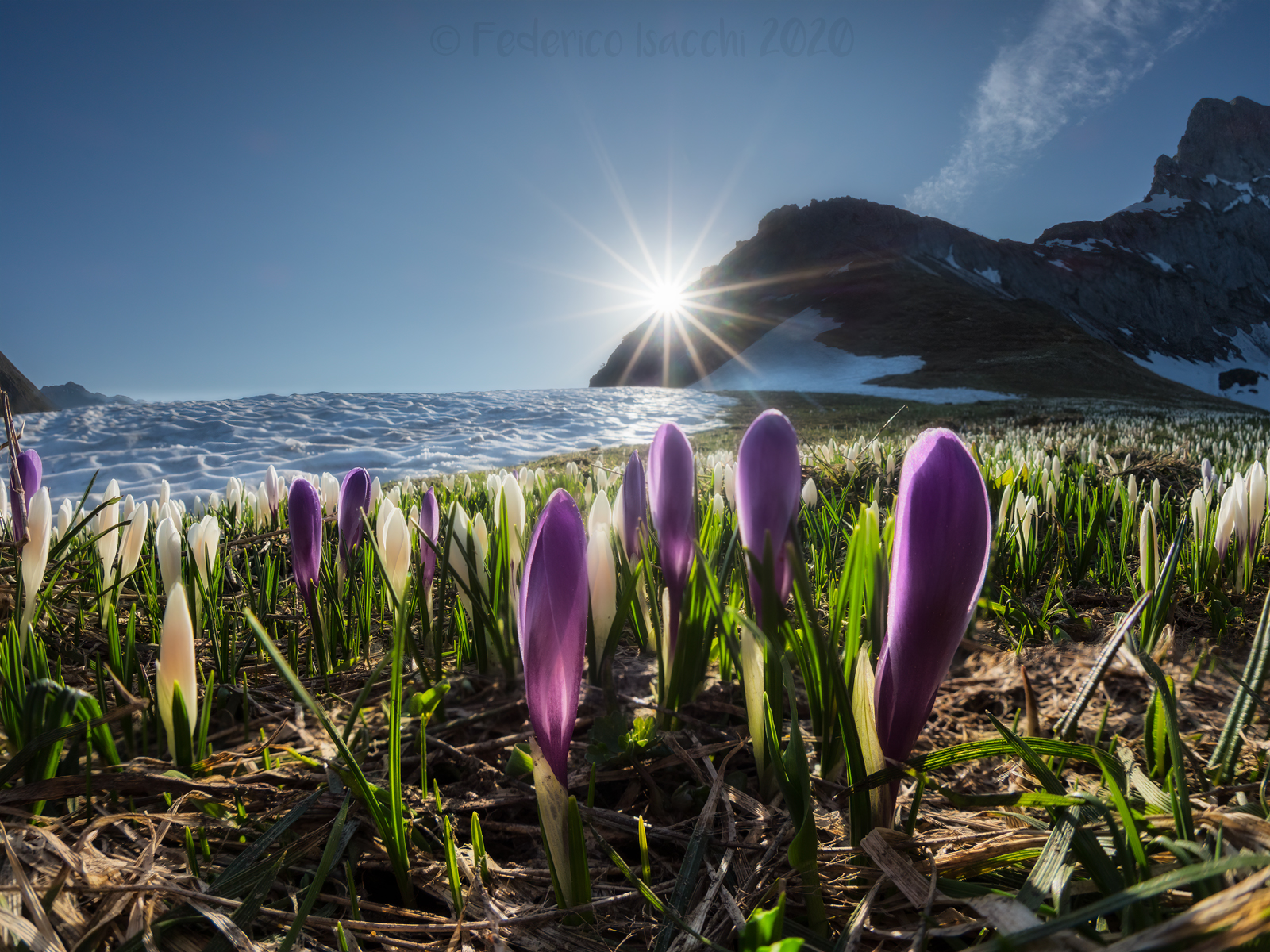 Tra inverno e primavera
