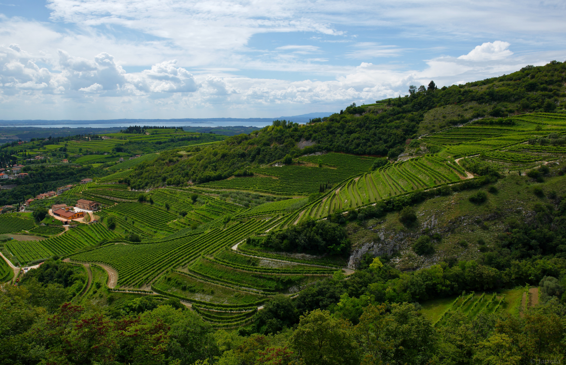Valpolicella, between the city of Verona and Lake Garda