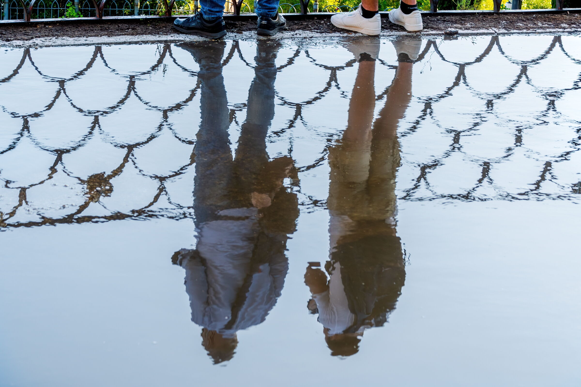 thoughtful observers