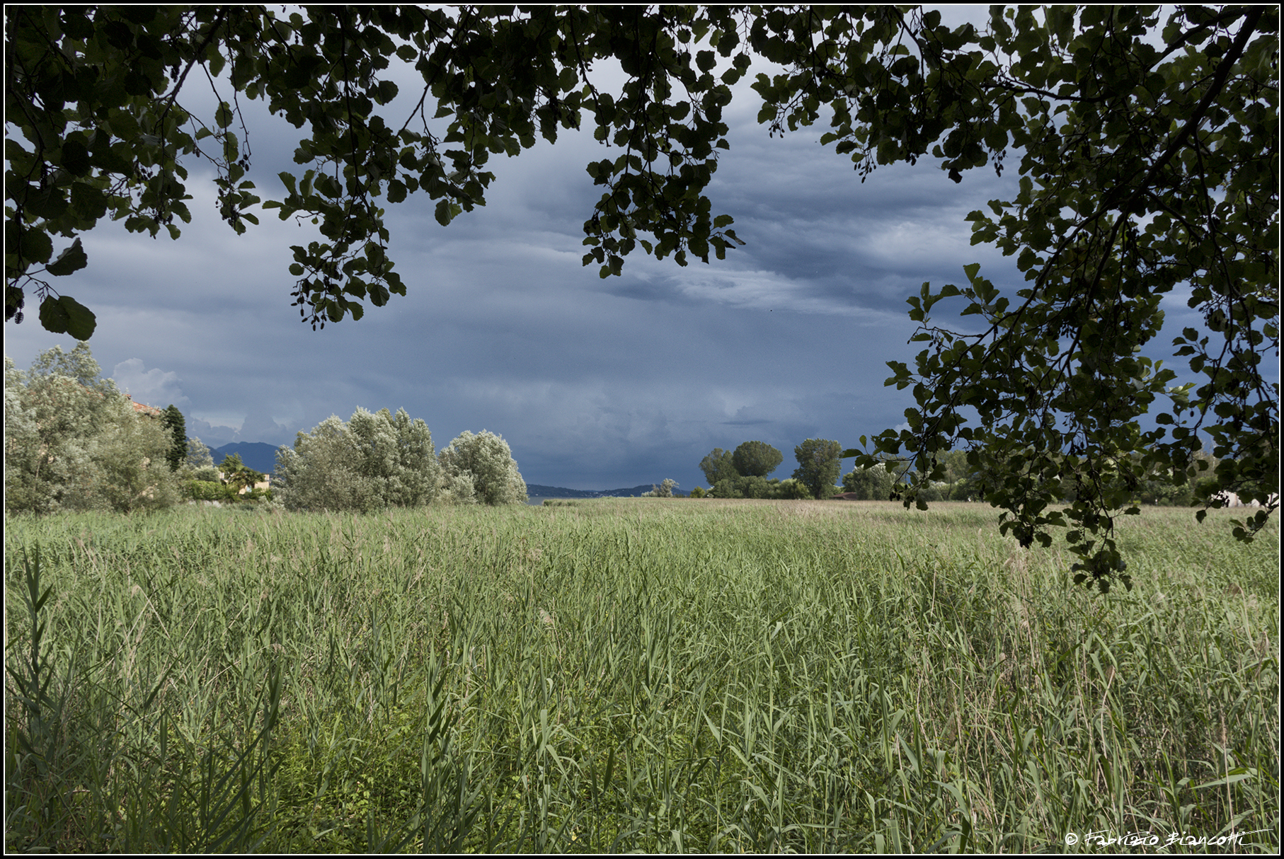 Il canneto di Fondotoce