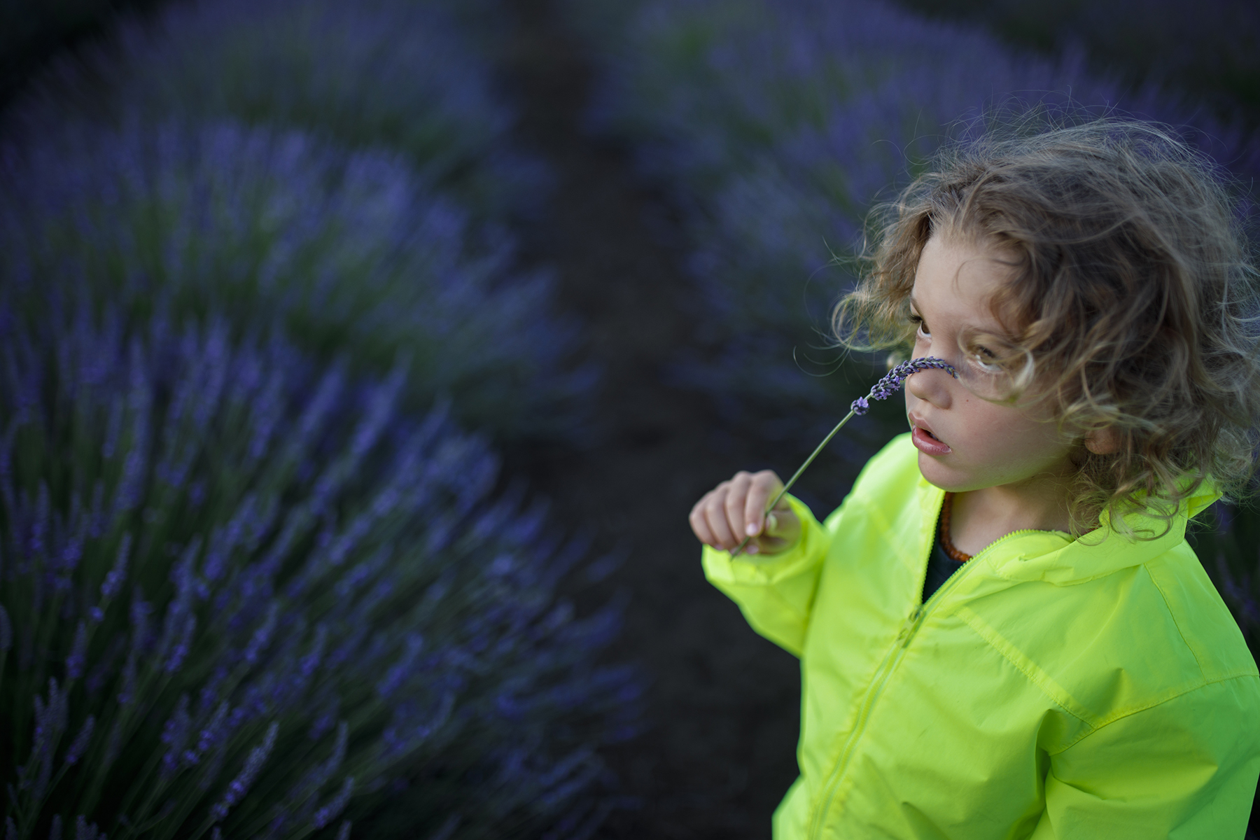 here's smell of clean