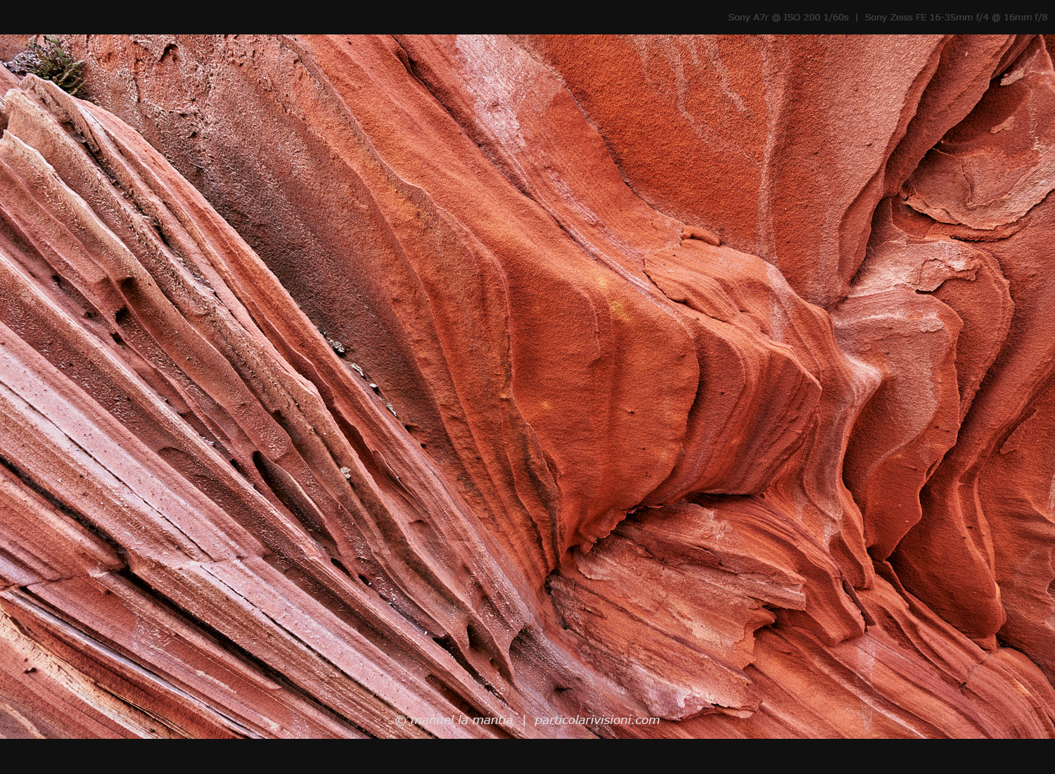 White Pocket, New1001