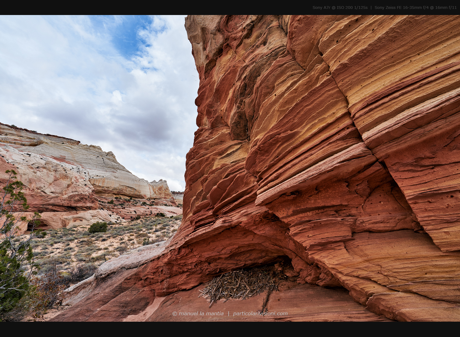 White Pocket, New1001