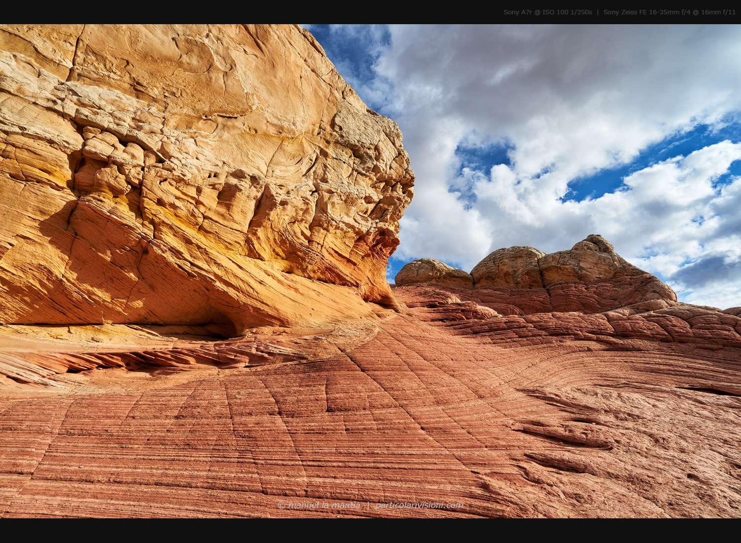 White Pocket, New1001