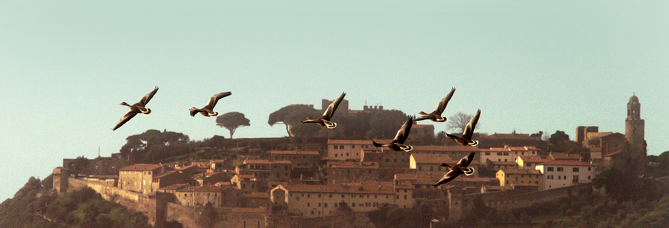 of Castiglione della Pescaia