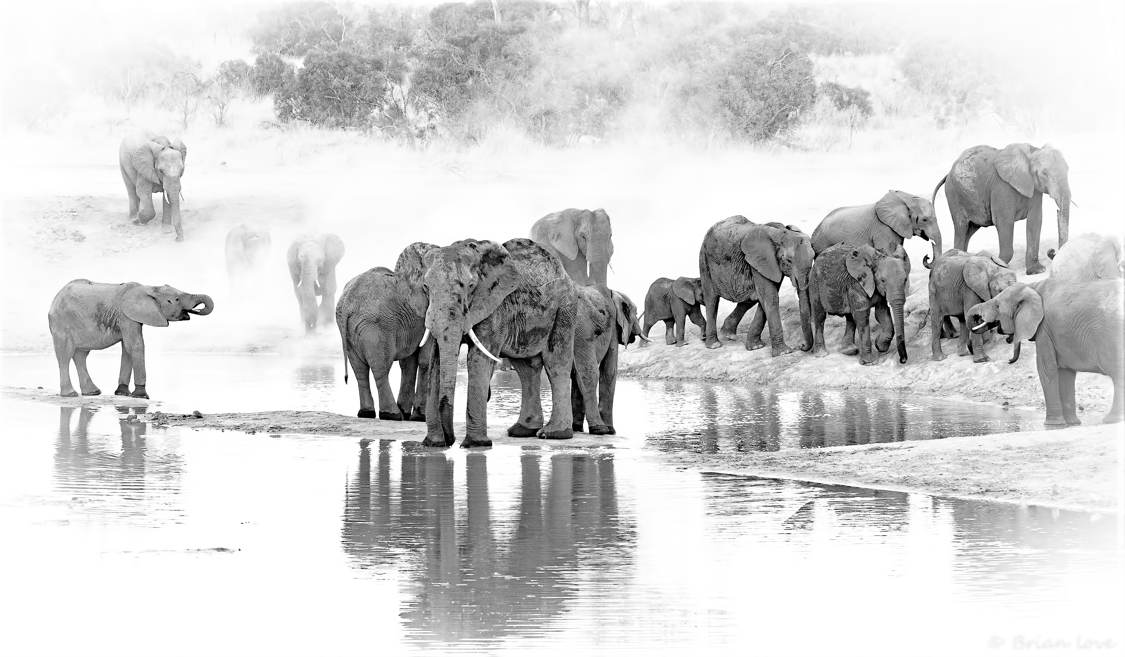 L'essenza dell'Africa