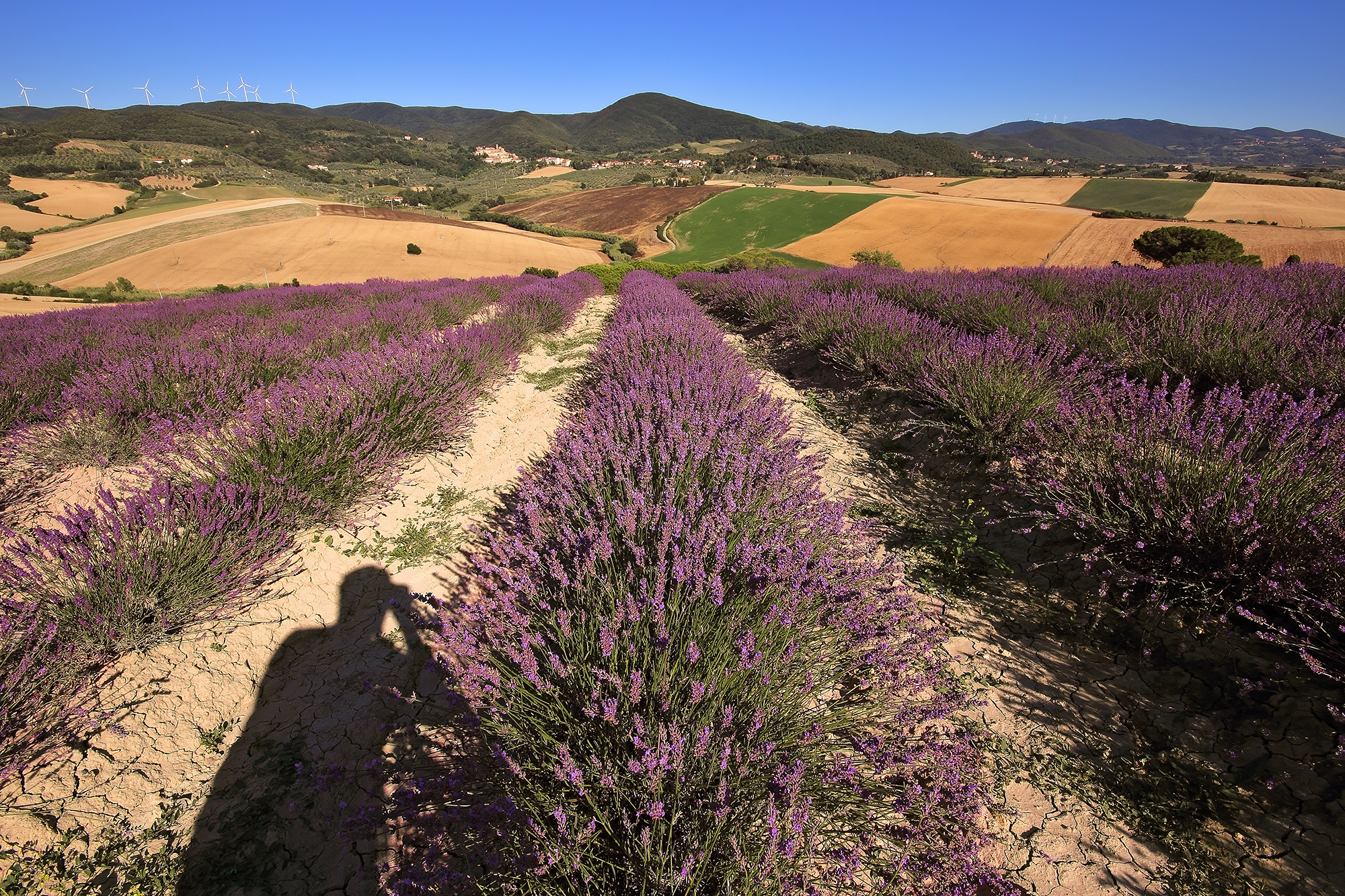 scusate se ci sono anche io!