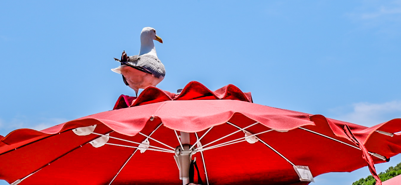 Comodo e rilassato quasi fosse da solo