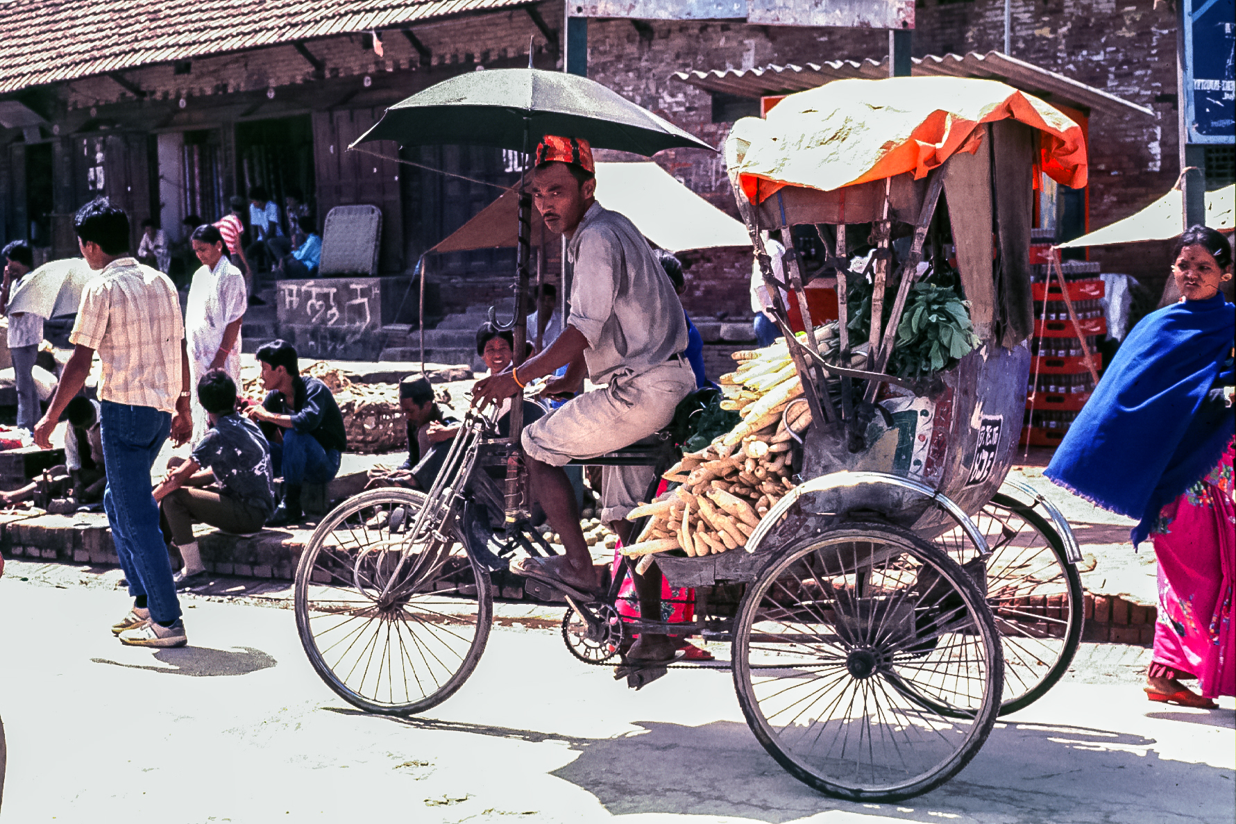 Ecological transport (Nepal)
