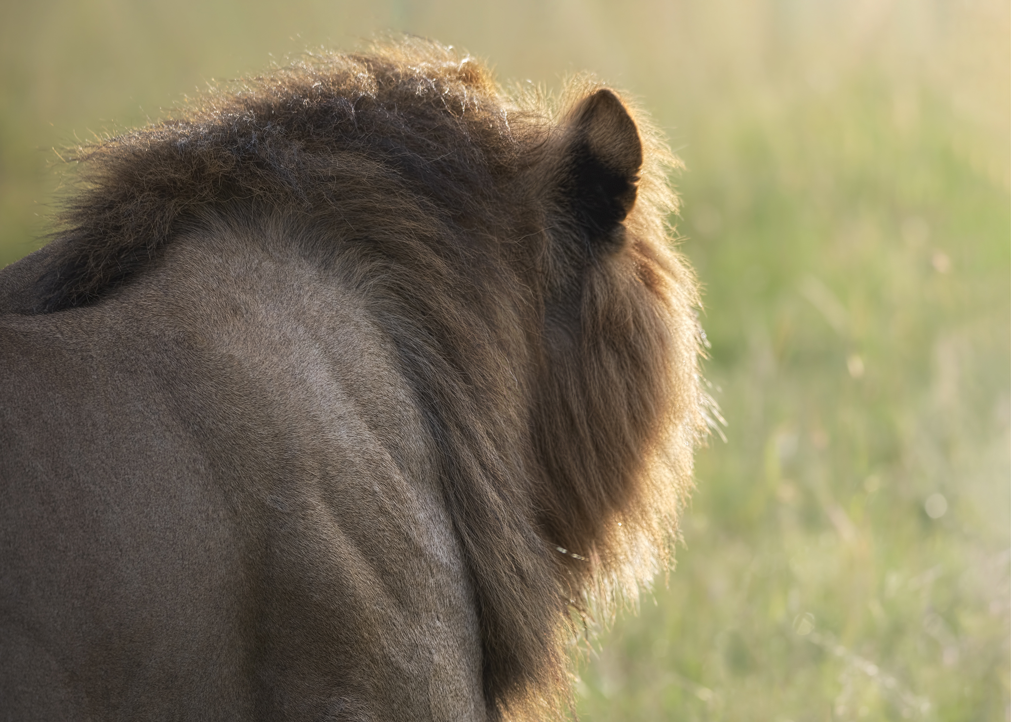Walking towards the sun
