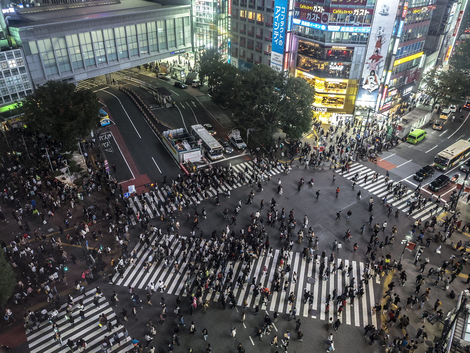 Shibuya by night